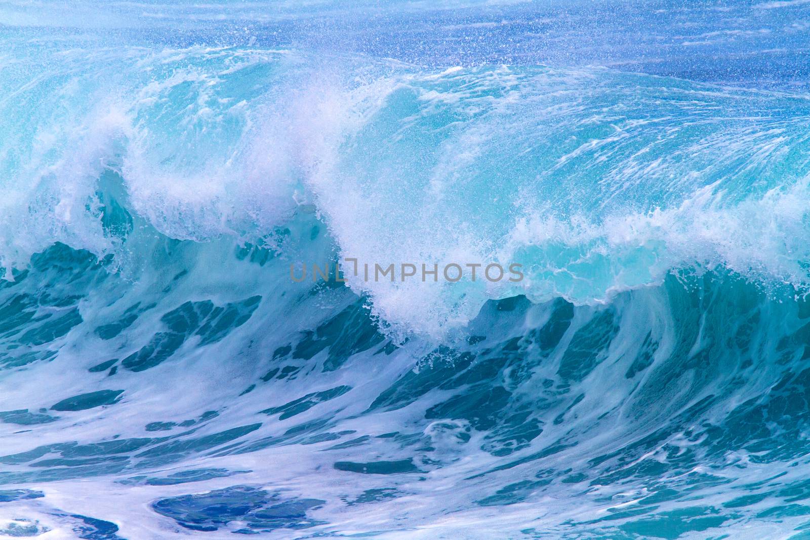 Picture of Ocean Wave. Indian Ocean.