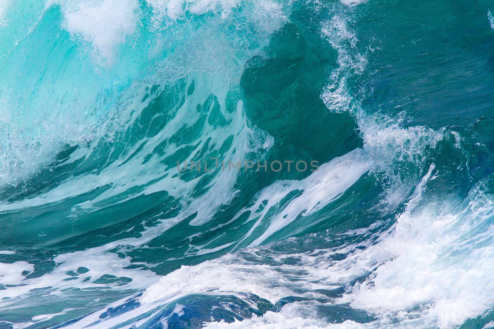 Picture of Ocean Wave. Indian Ocean.