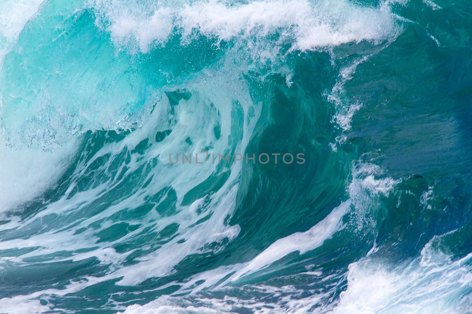 Picture of Ocean Wave. Indian Ocean.