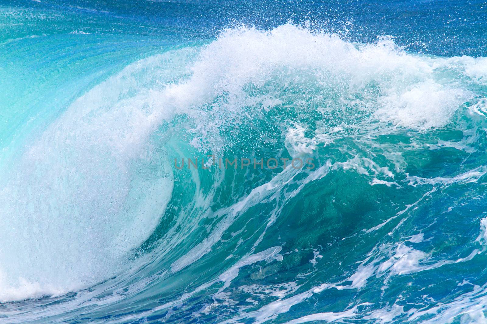 Picture of Ocean Wave. Indian Ocean.