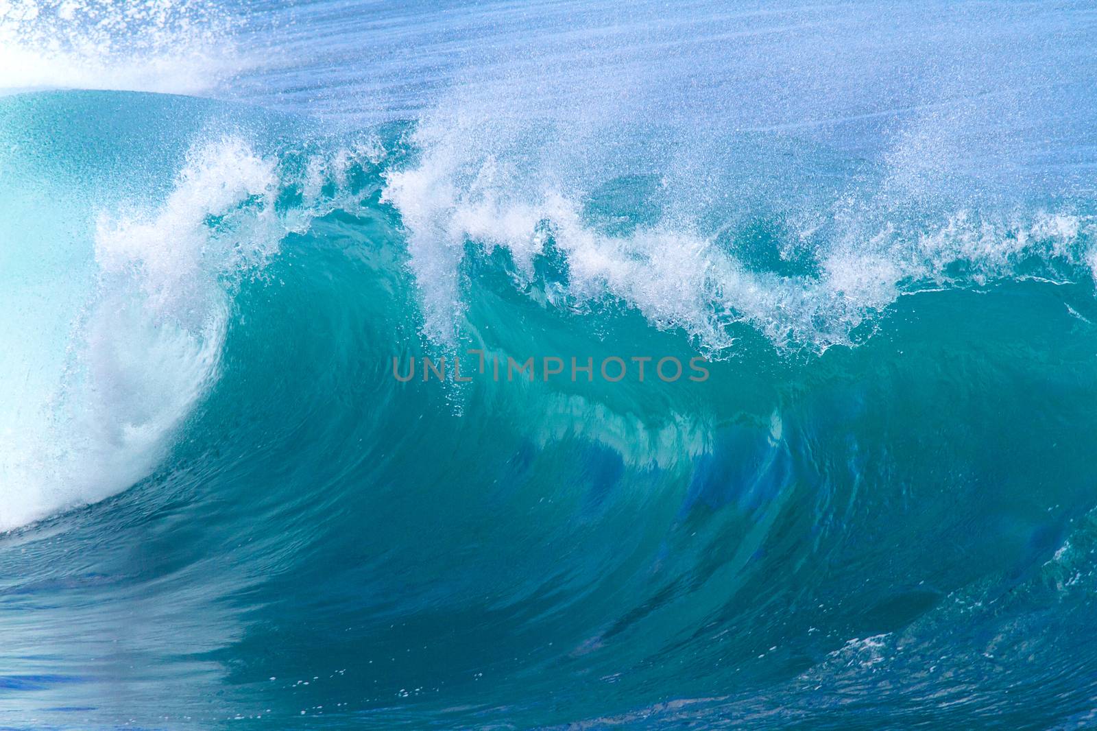 Picture of Ocean Wave. Indian Ocean.