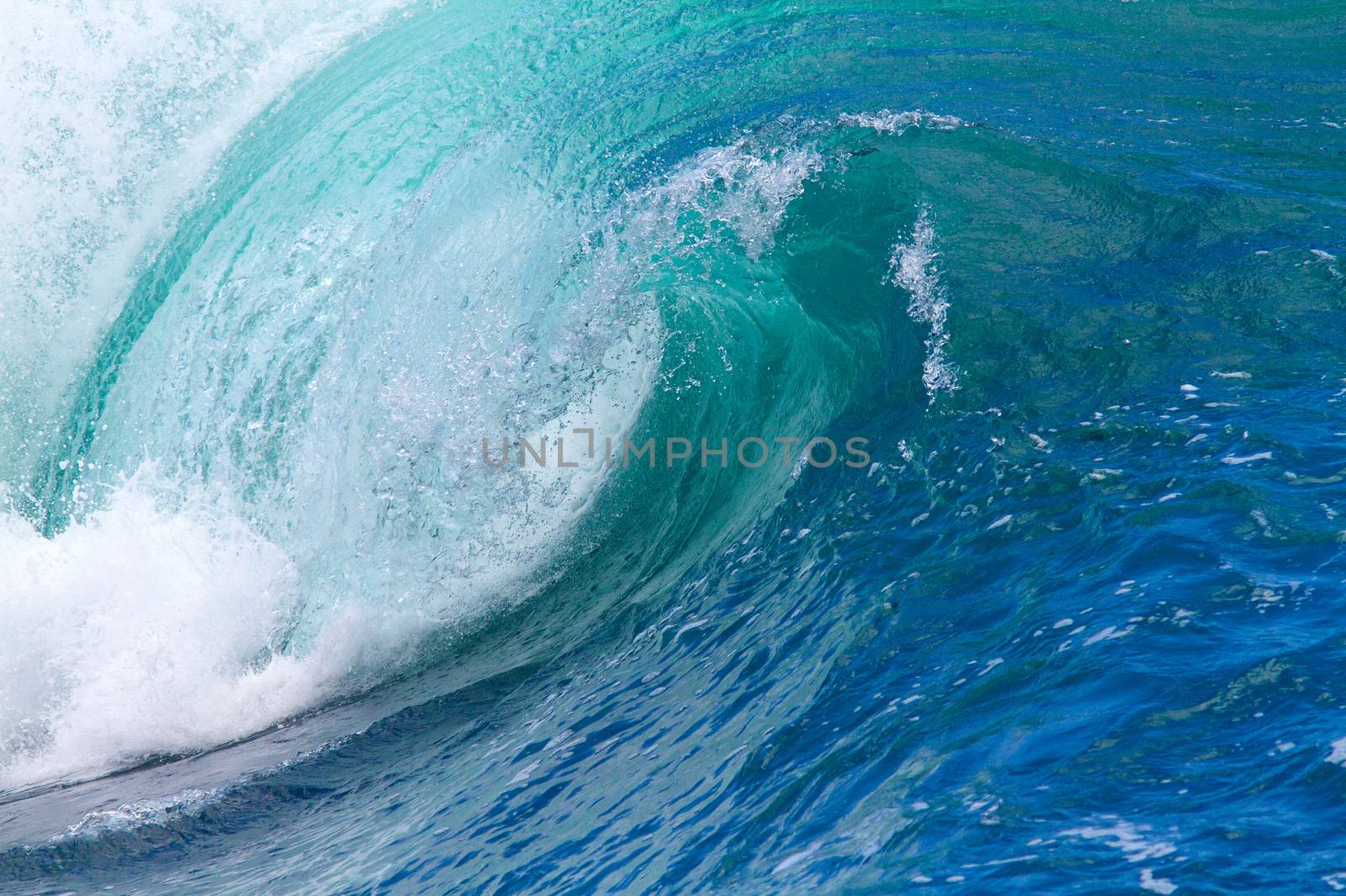 Picture of Ocean Wave. Indian Ocean.