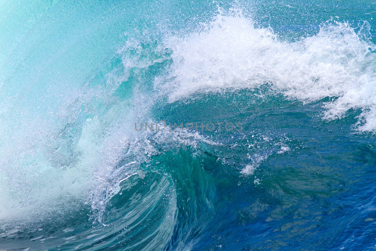 Picture of Ocean Wave. Indian Ocean.