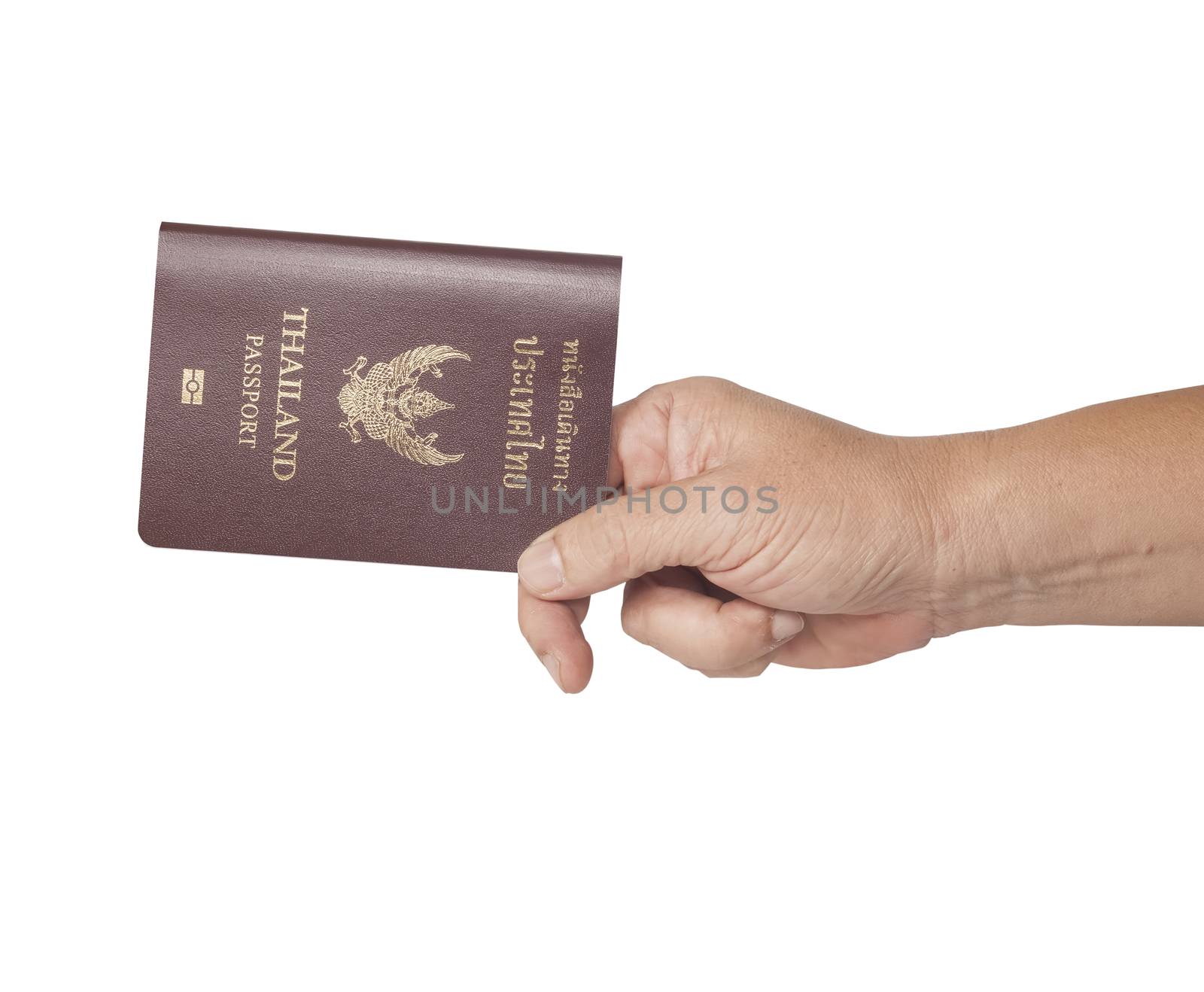 hand holding a passport