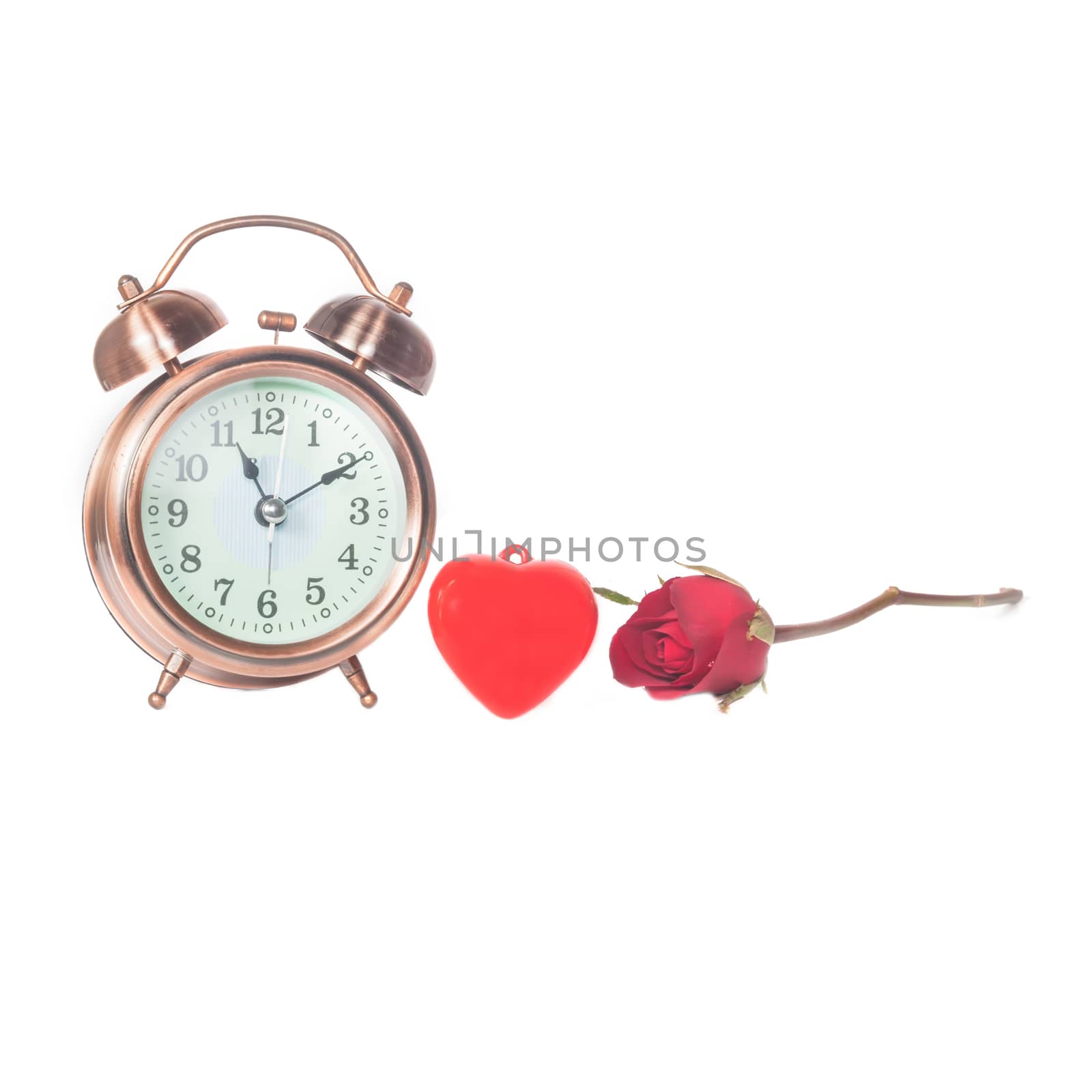 Red Rose Flower and alarm clock on isolate