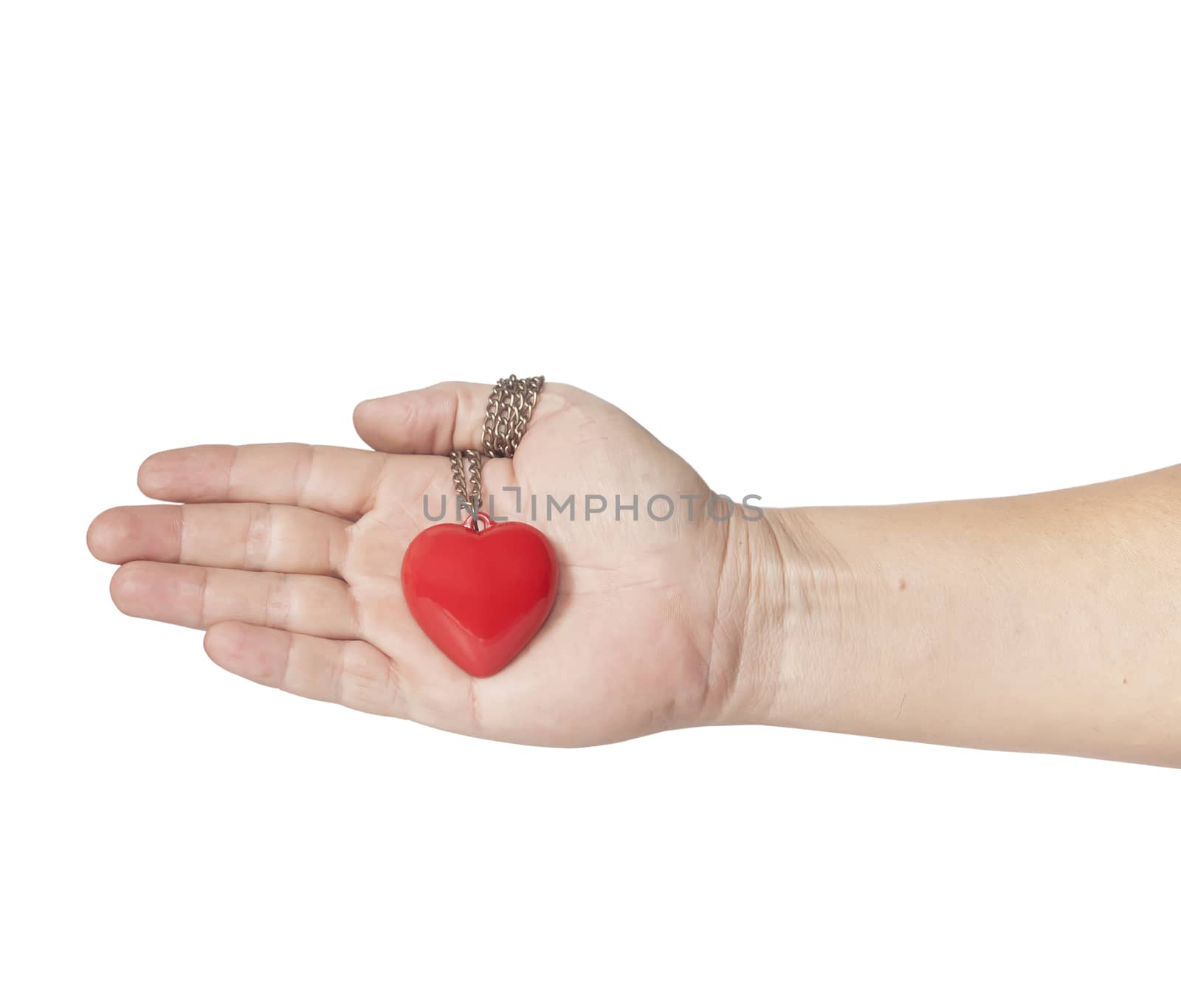 Heart on hand in Valentine day
