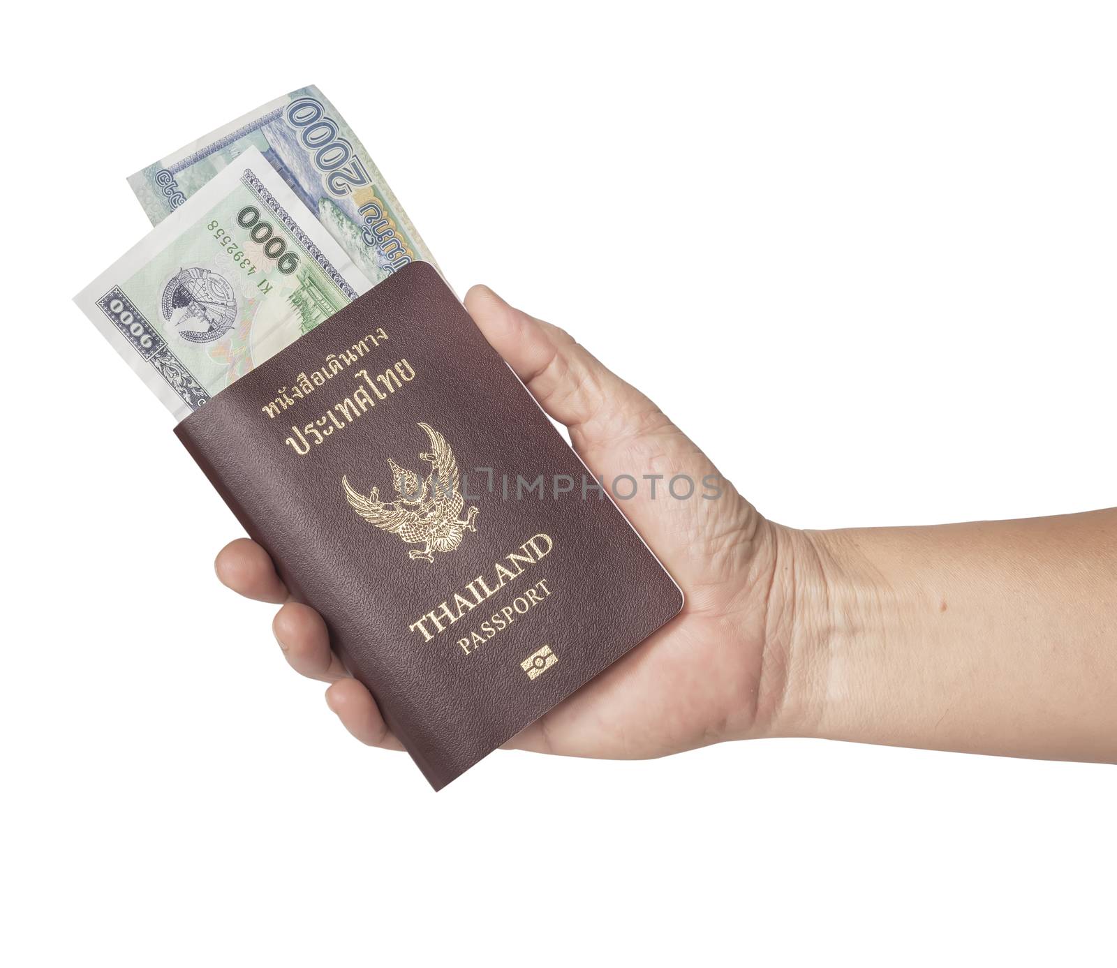 hand holding a passport on white