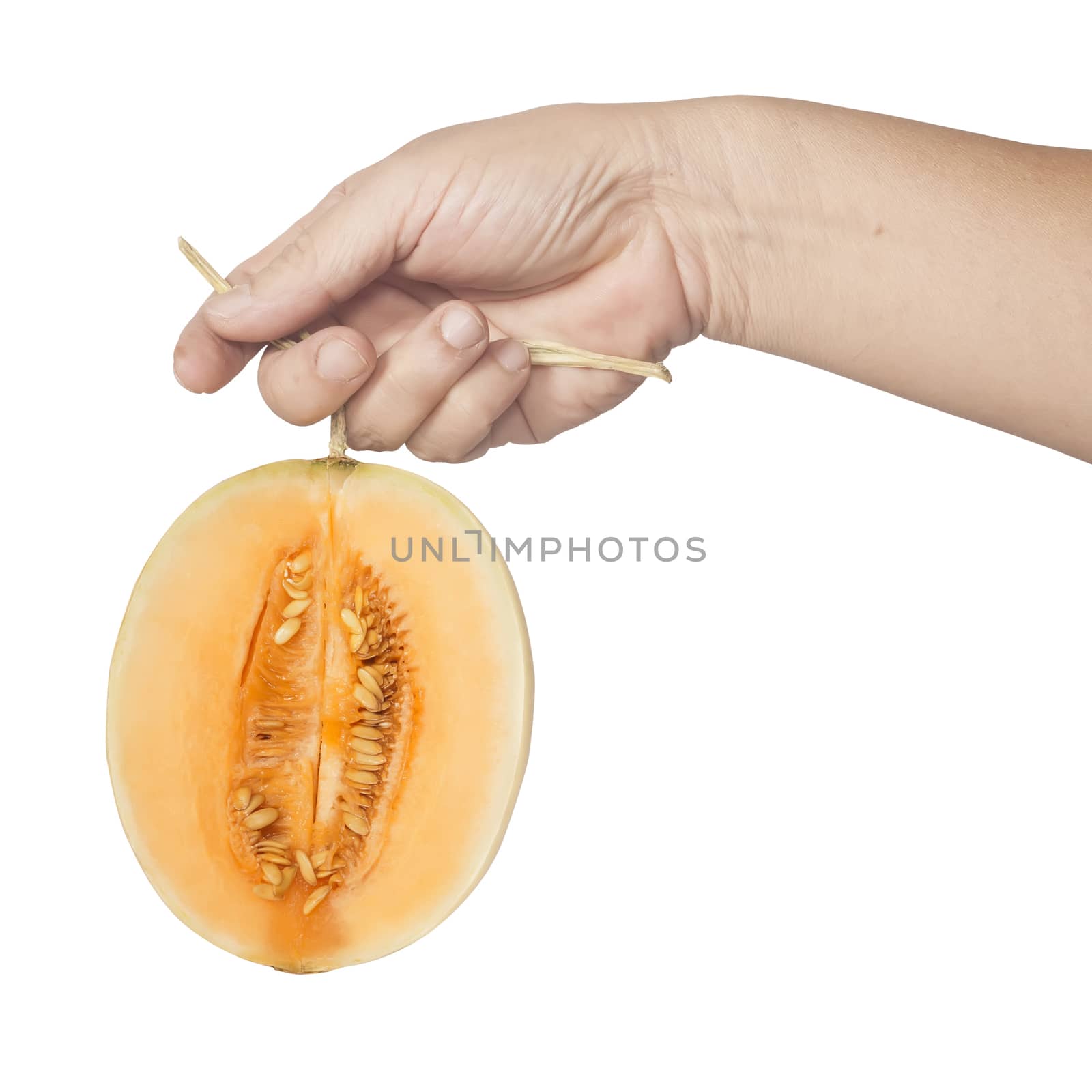 Hand holding cantaloupe melon