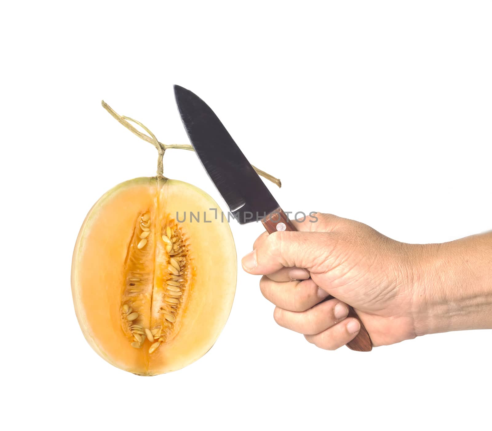 Knife in hand cut a melon cantaloupe isolate