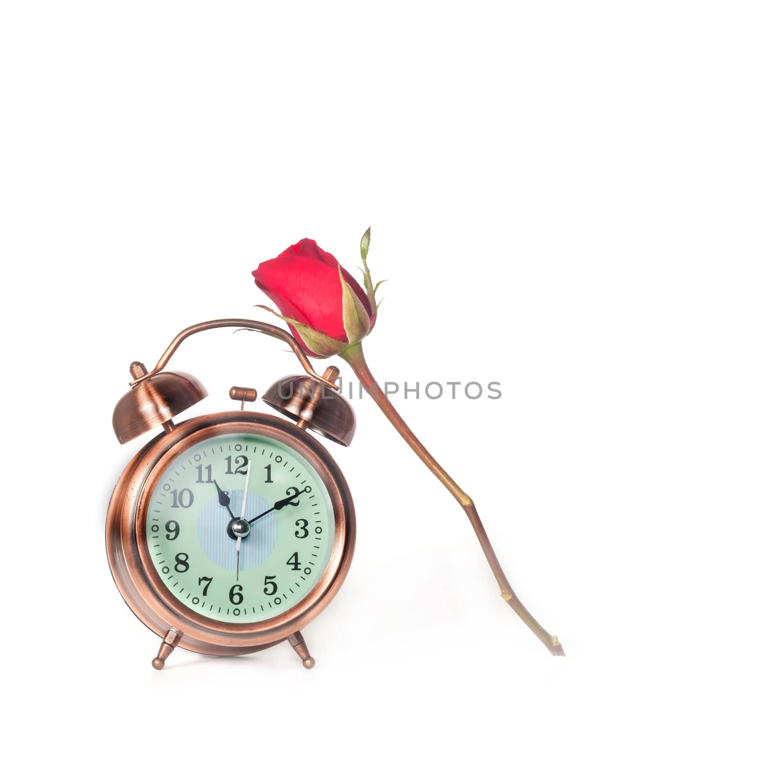 Red Rose Flower and alarm clock  by amnarj2006