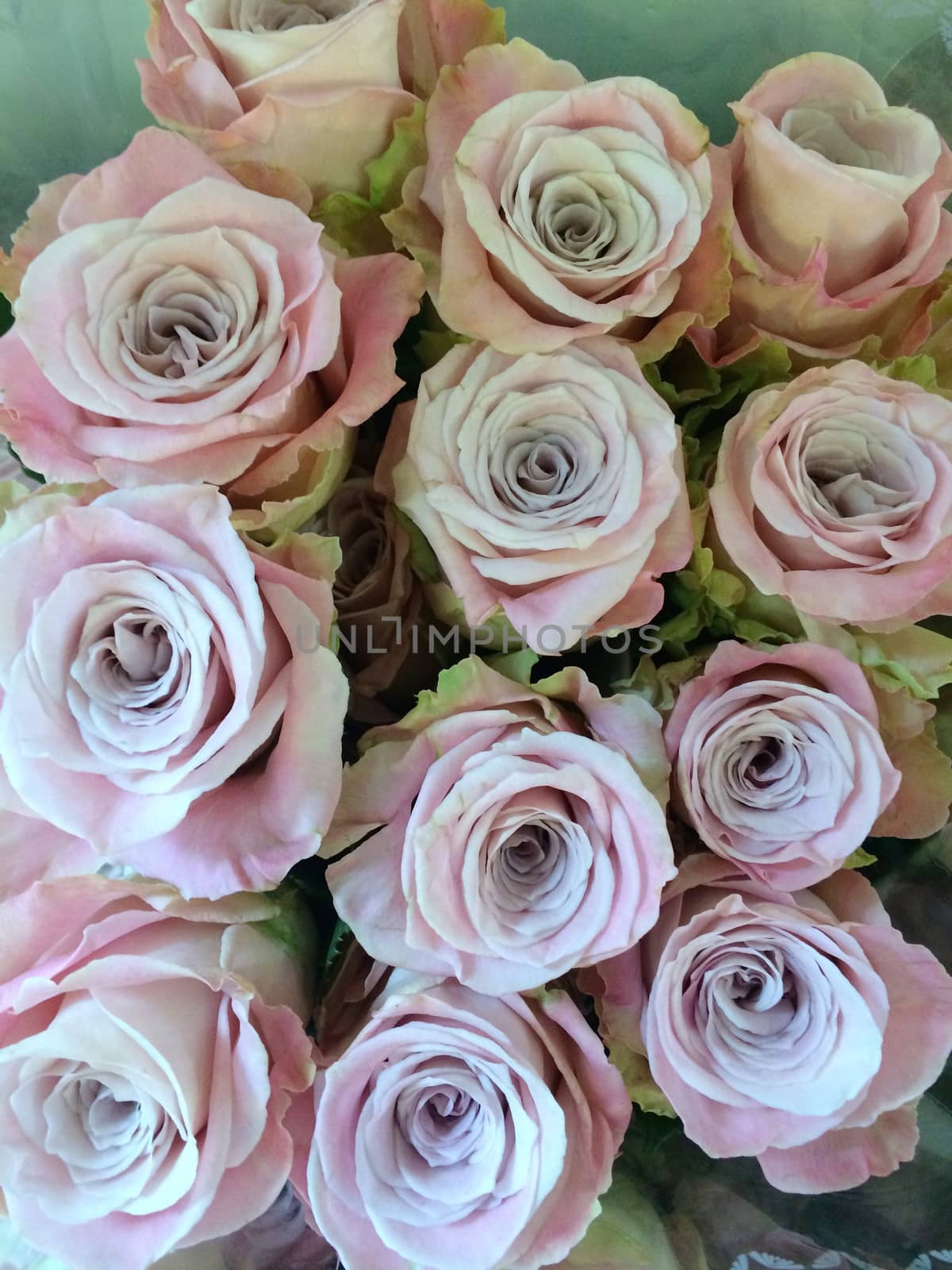 Close up of pink roses bouquet