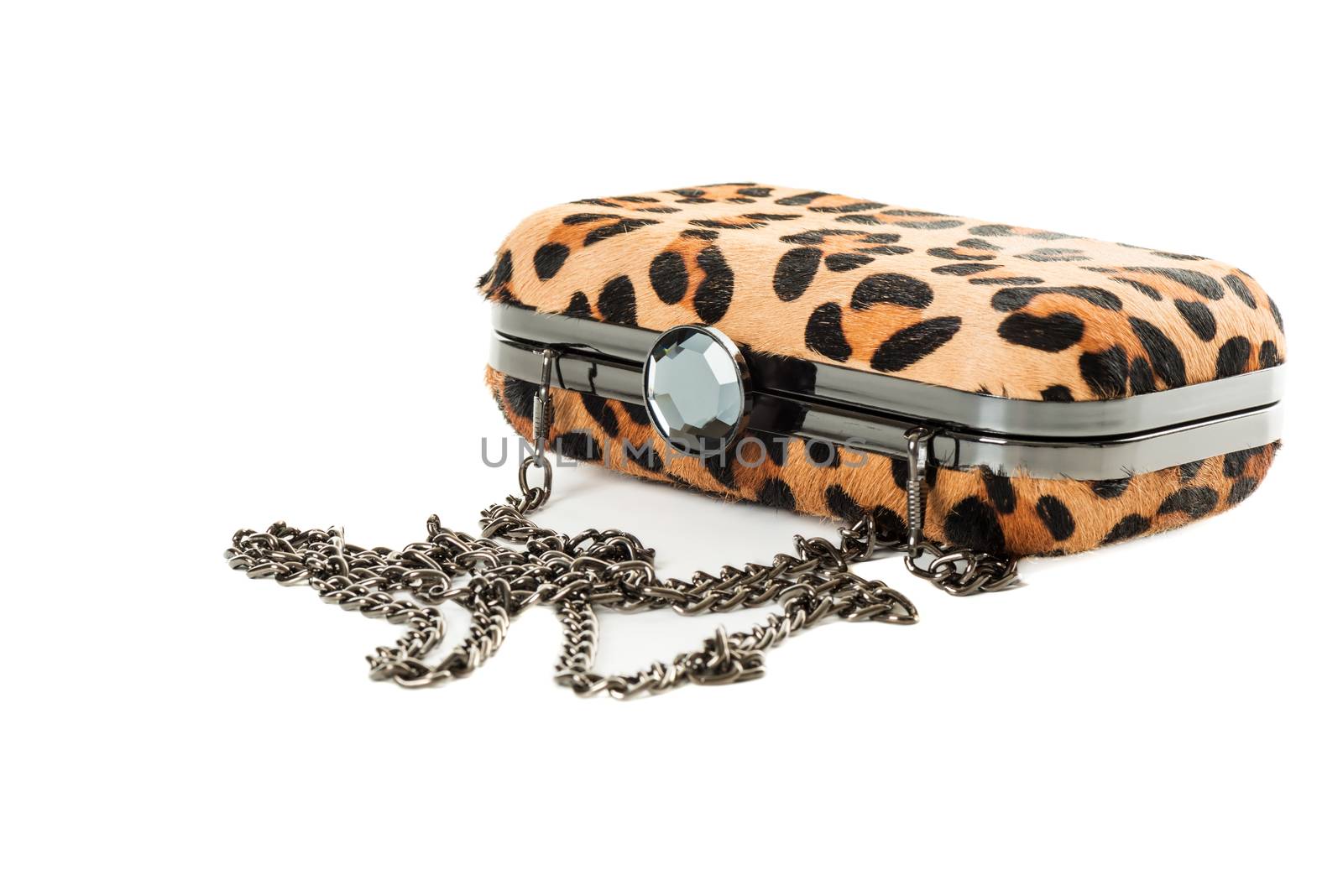 Leopard purse isolated on white background by Nanisimova