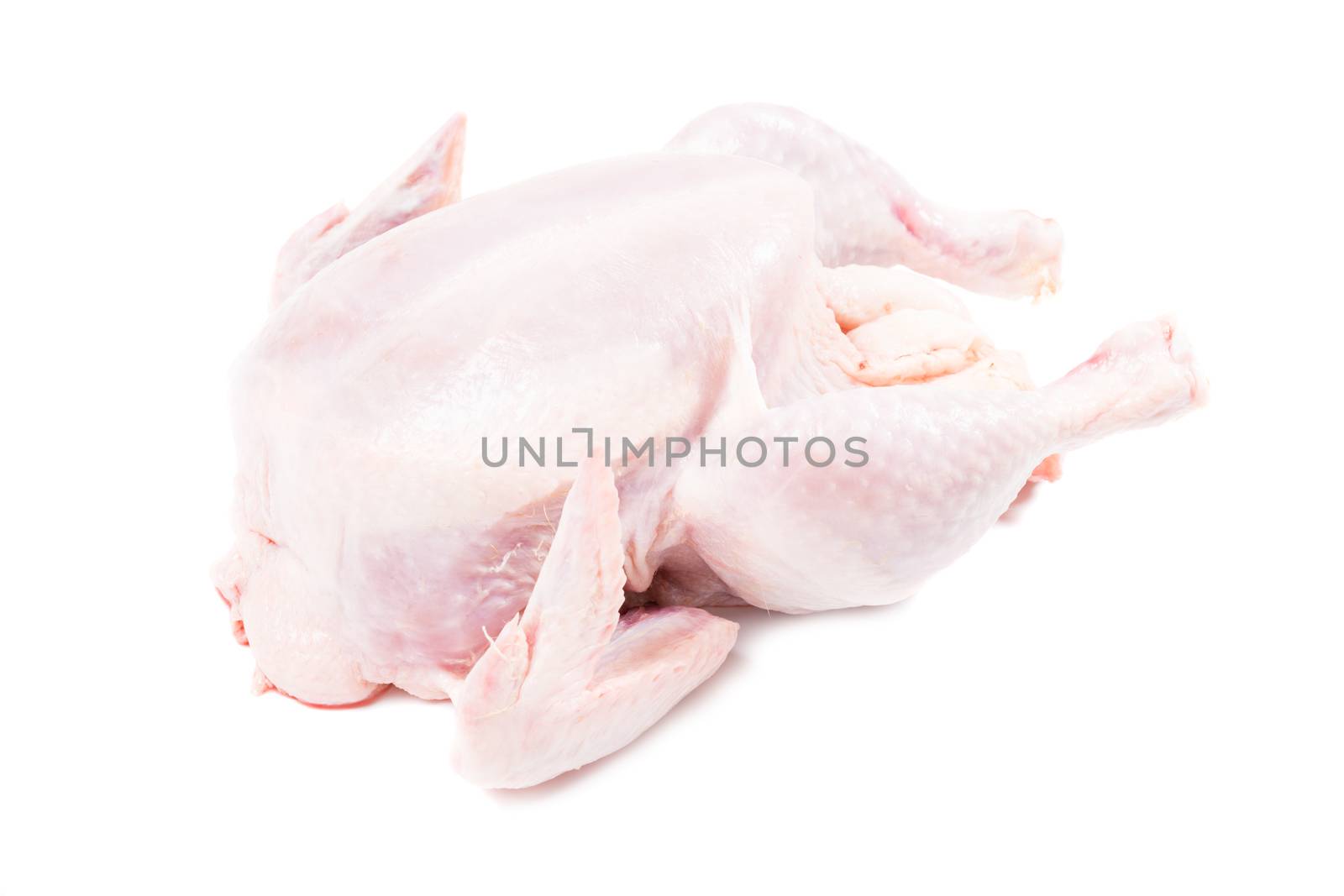 Raw chicken isolated studio shot by Nanisimova