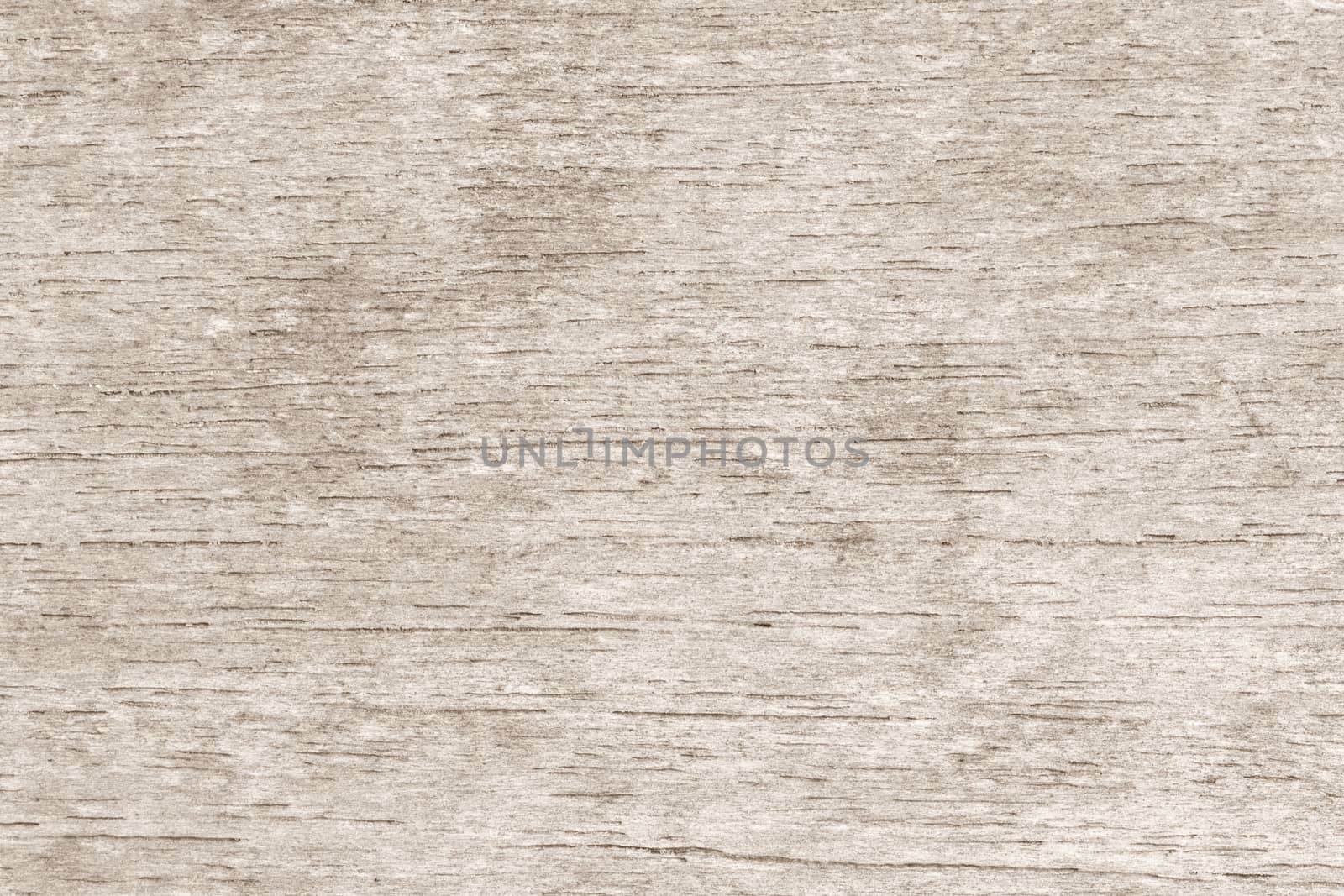 Texture gray plastered wall for background.