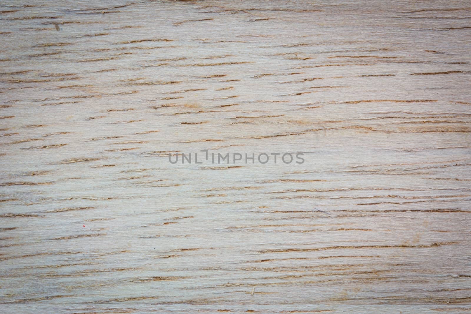 Texture of wood background closeup.