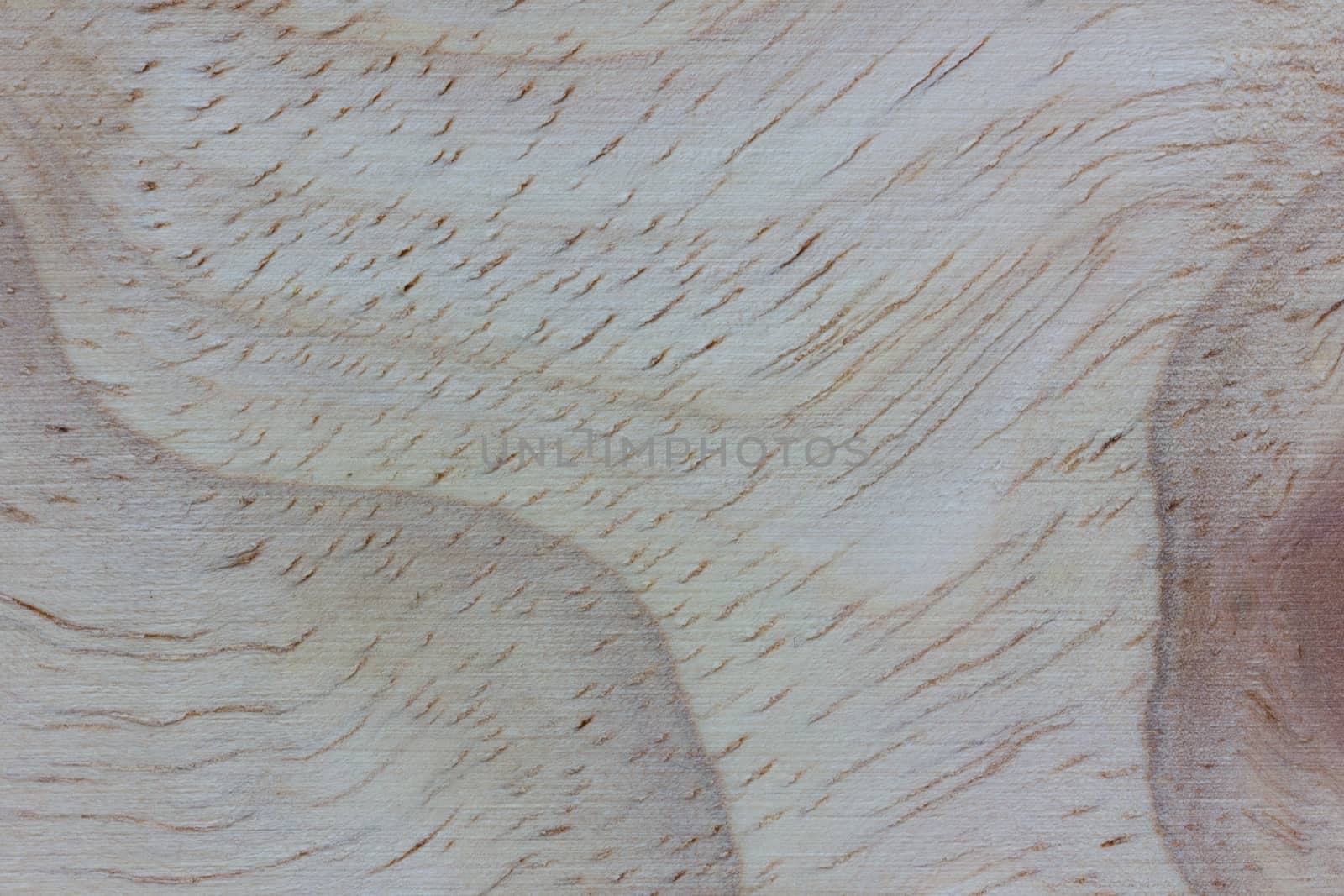 Texture of wood background closeup.