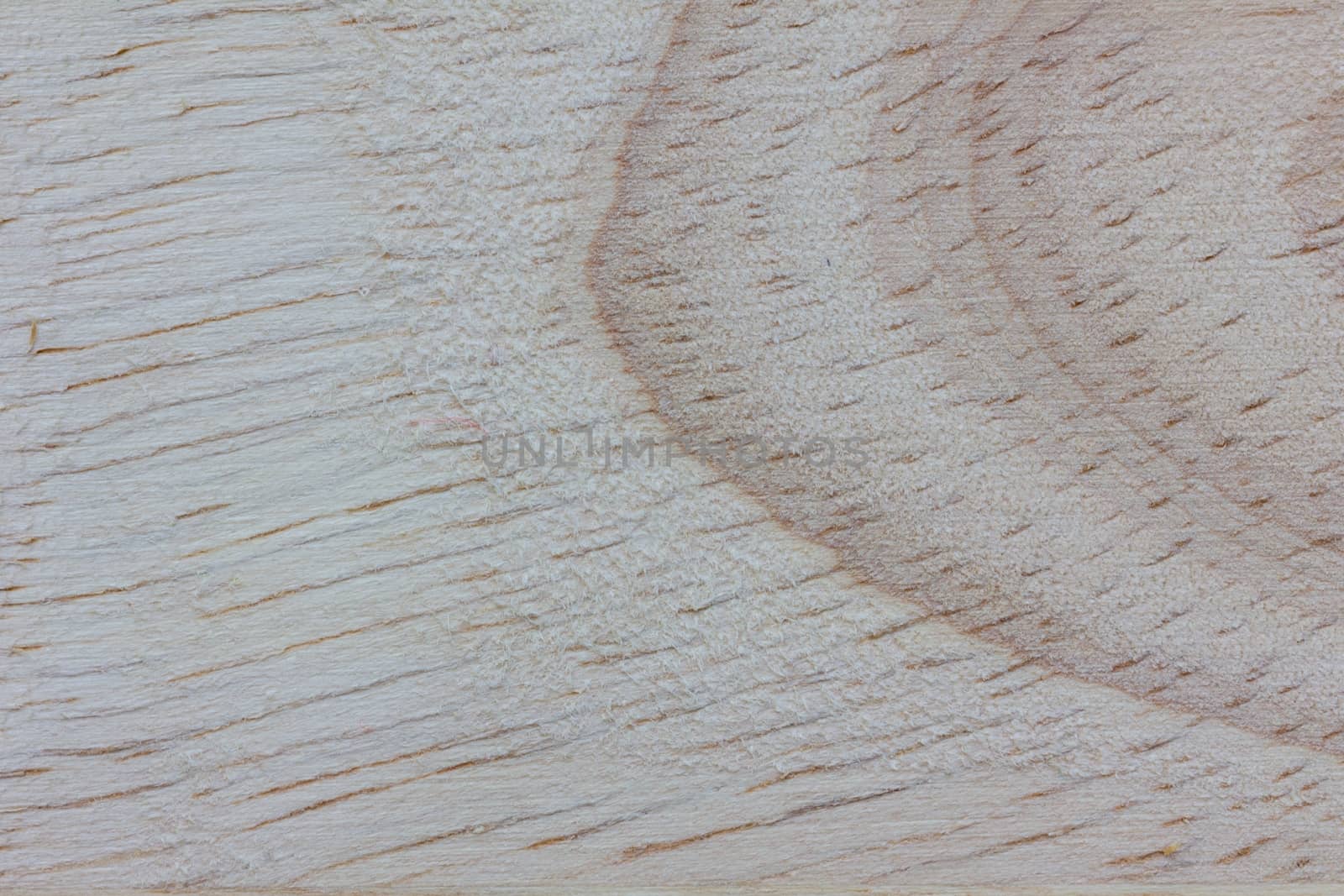 Texture of wood background closeup.