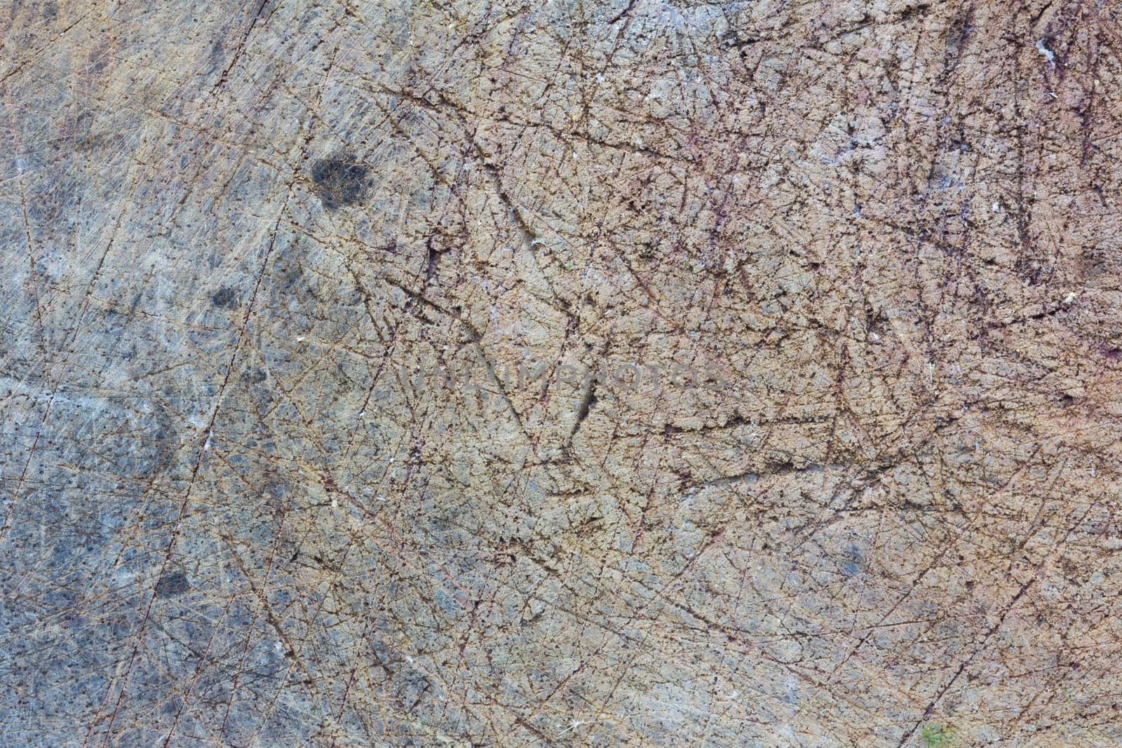 Texture of wood background closeup. Grunge