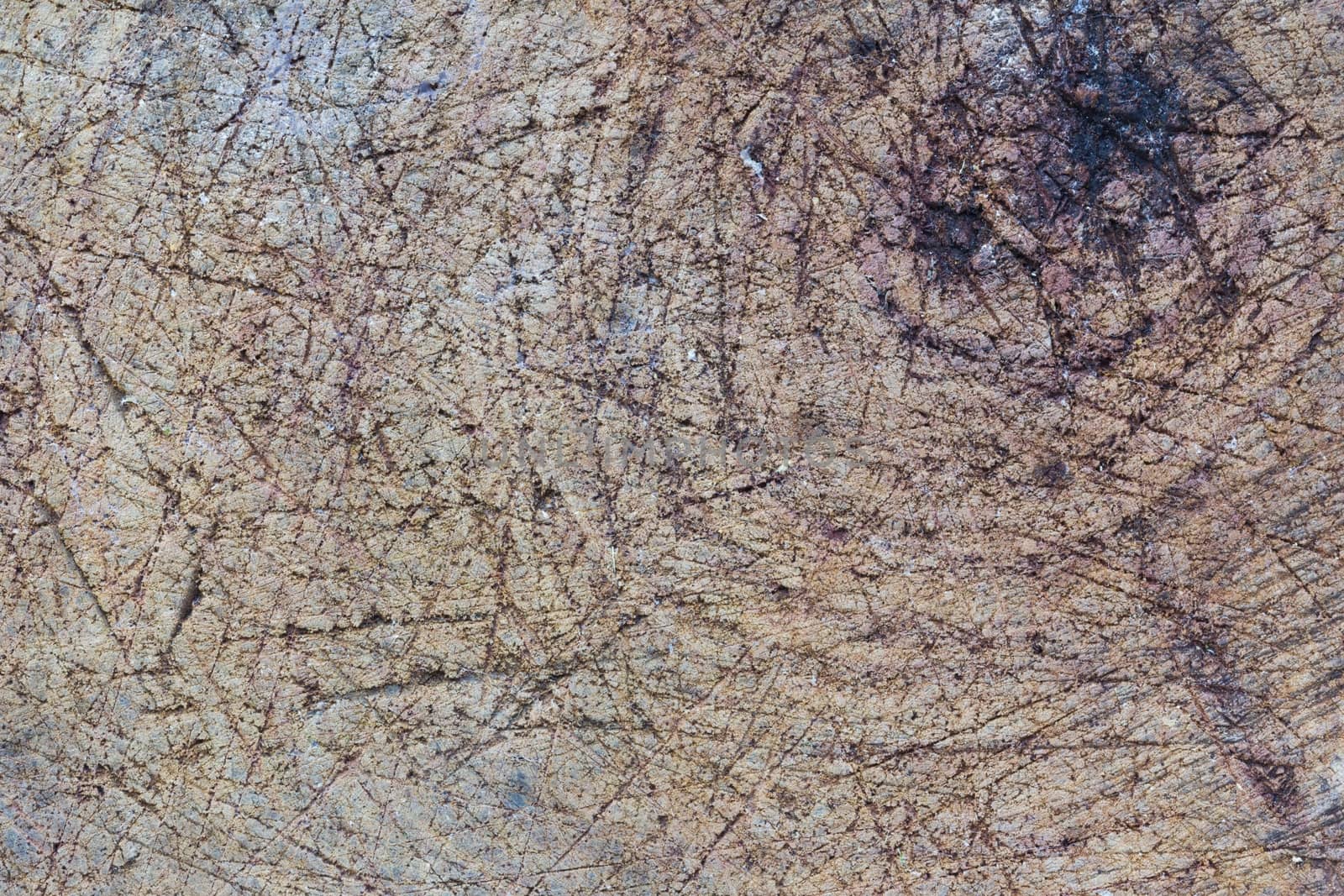 Texture of wood background closeup. Grunge