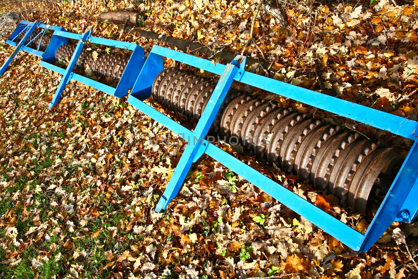 shoe cleaner in autumn in denmark