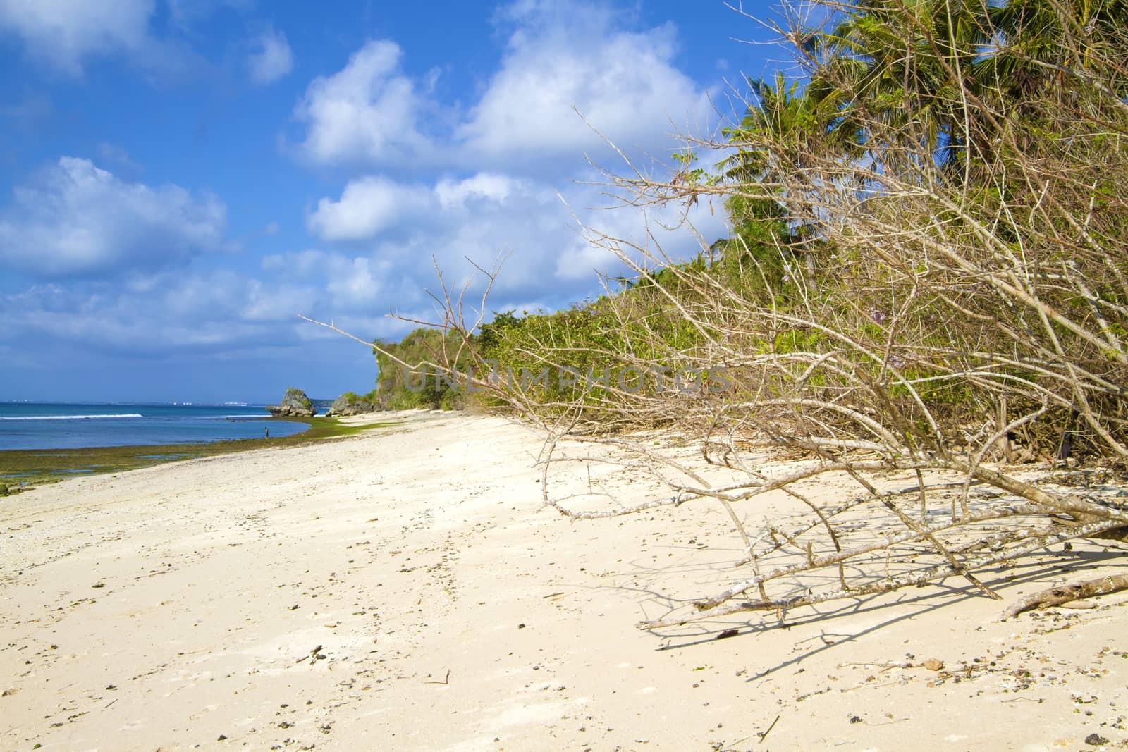 Deserted beach at Bali island.Indonesia.