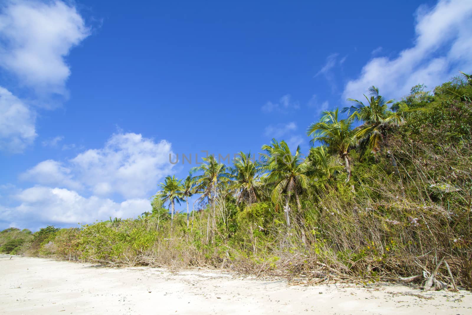 Deserted beach at Bali island.Indonesia.