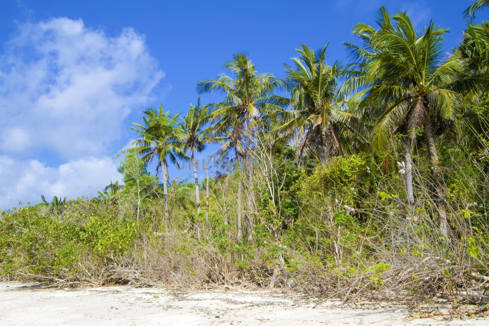 Deserted beach at Bali island.Indonesia.