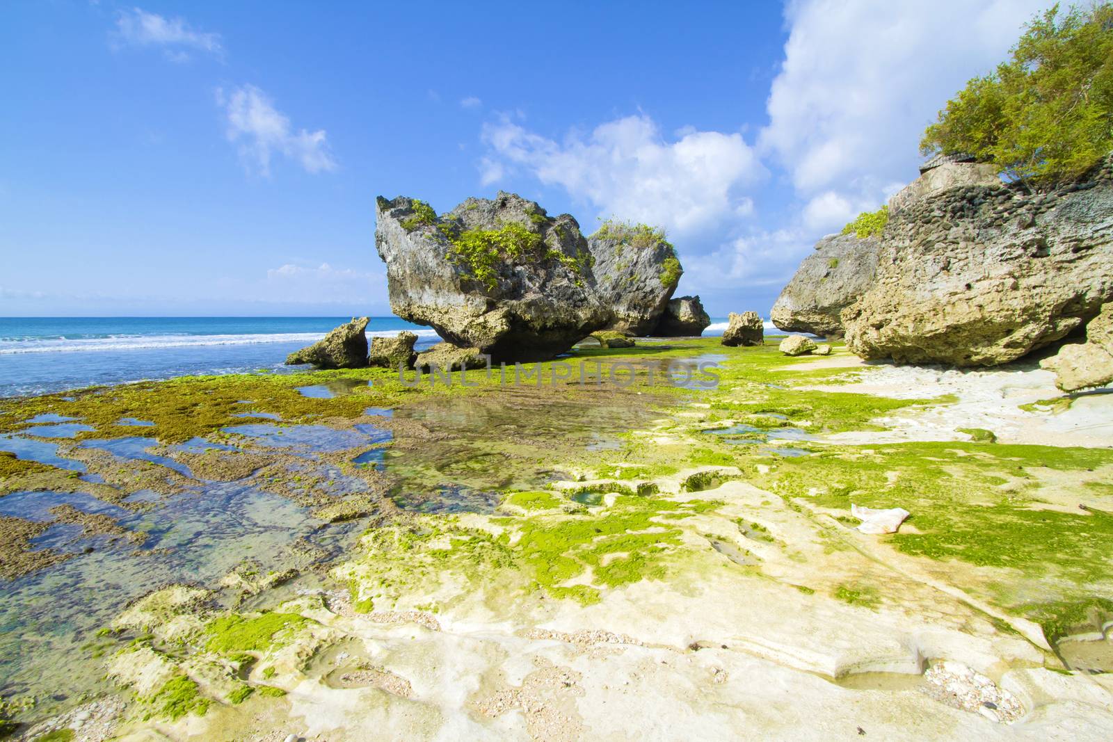 Ocean coastline, Bali, Indonesia.