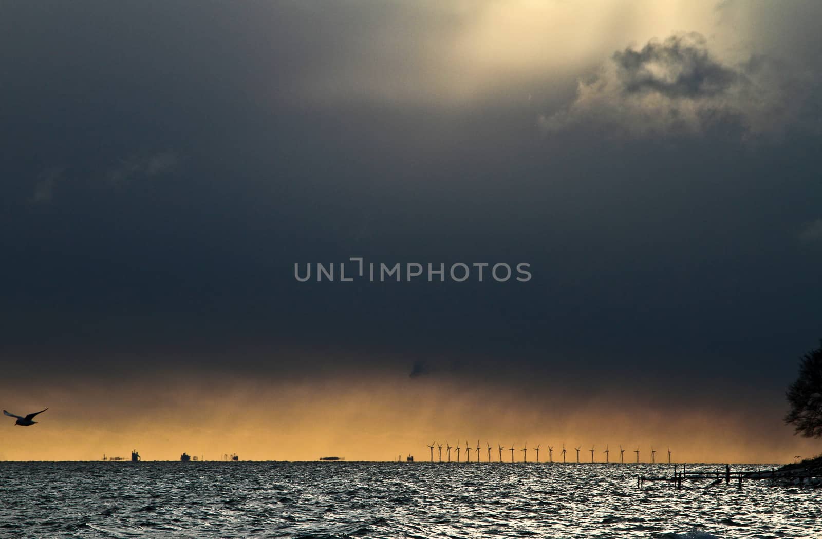 Coastal landscape in denmark north from copenhagen
