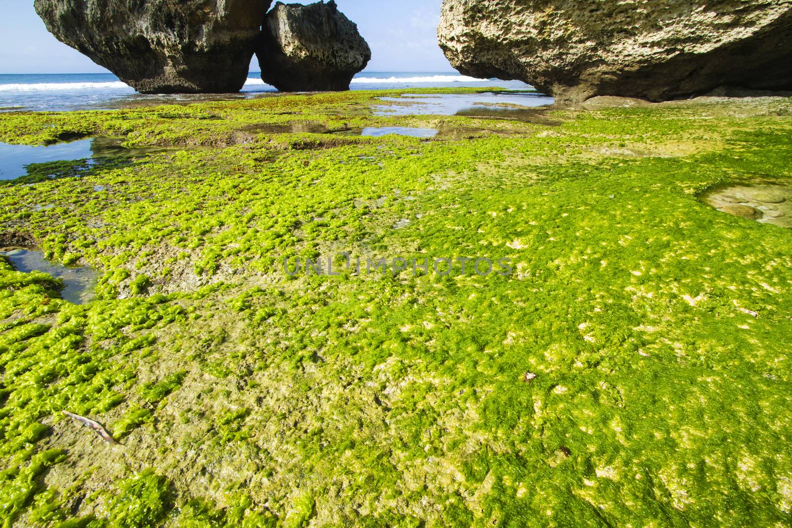 Ocean coastline, Bali, Indonesia.