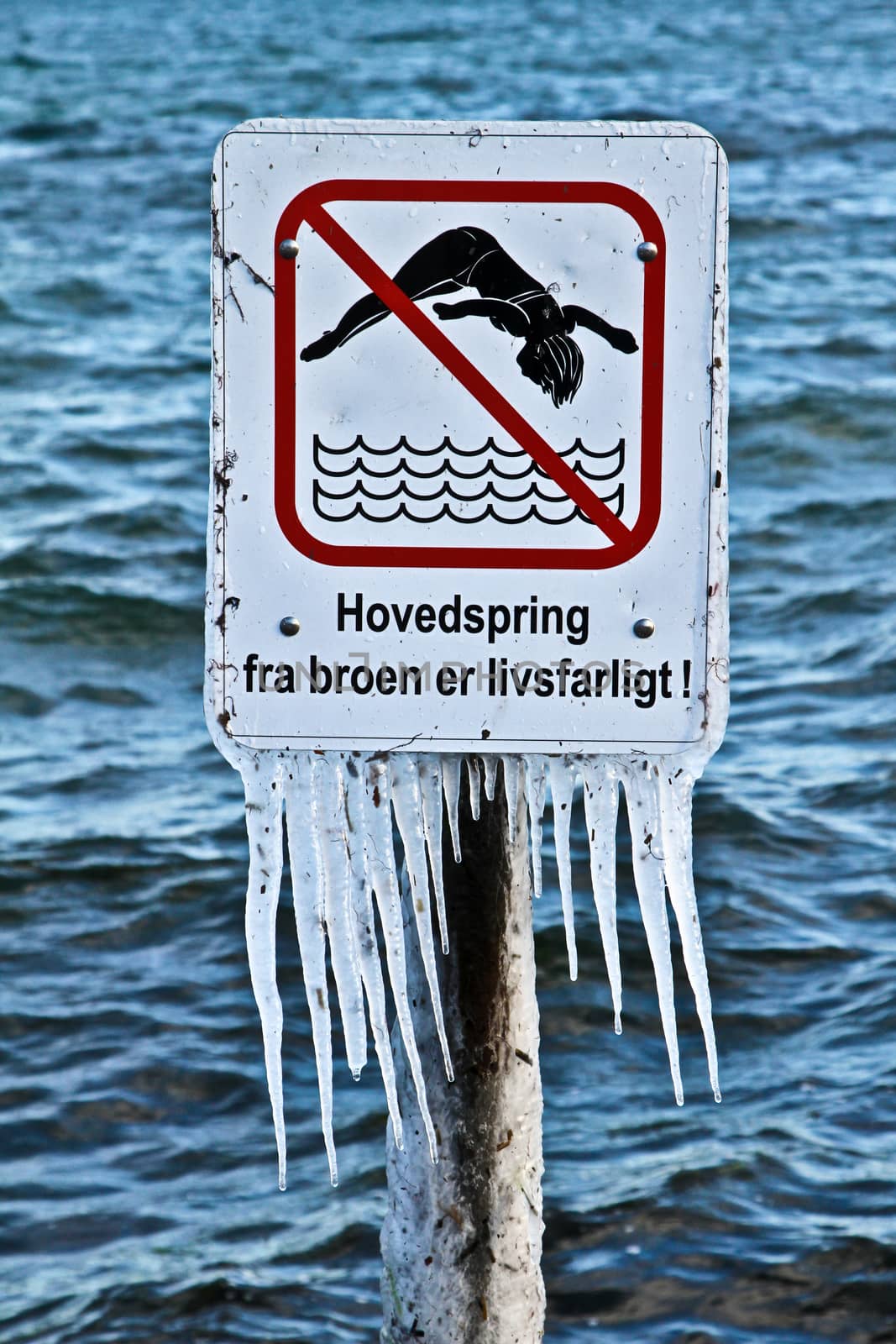 sign showing that jumping in water is forbidden