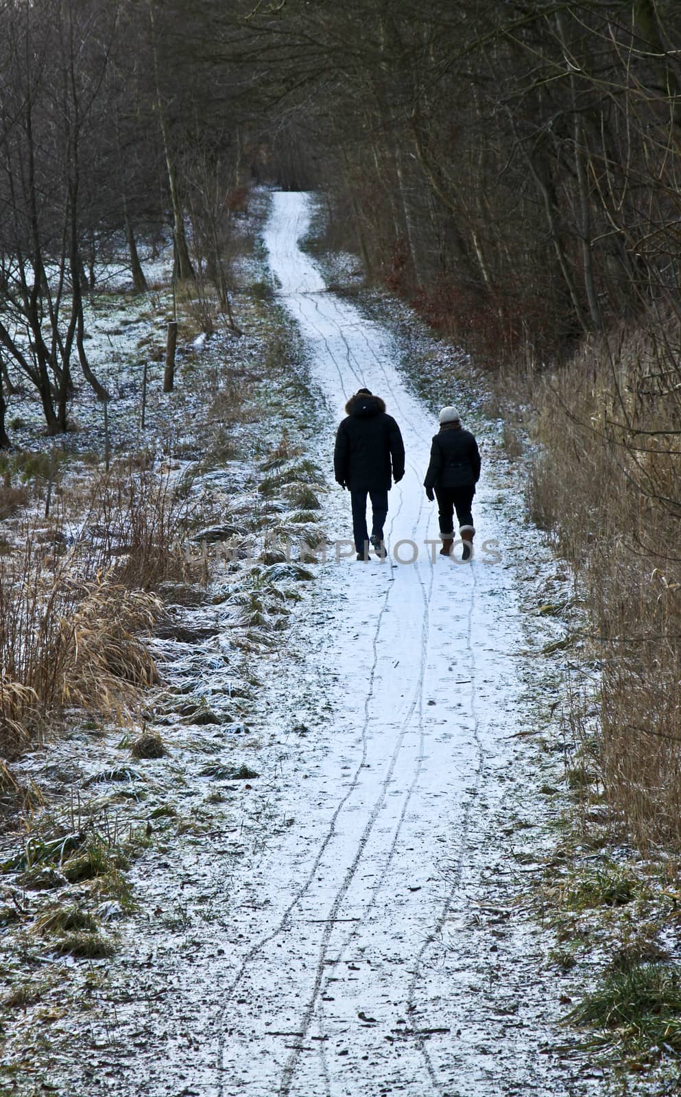 two peaople walking on a path in denmark in winter