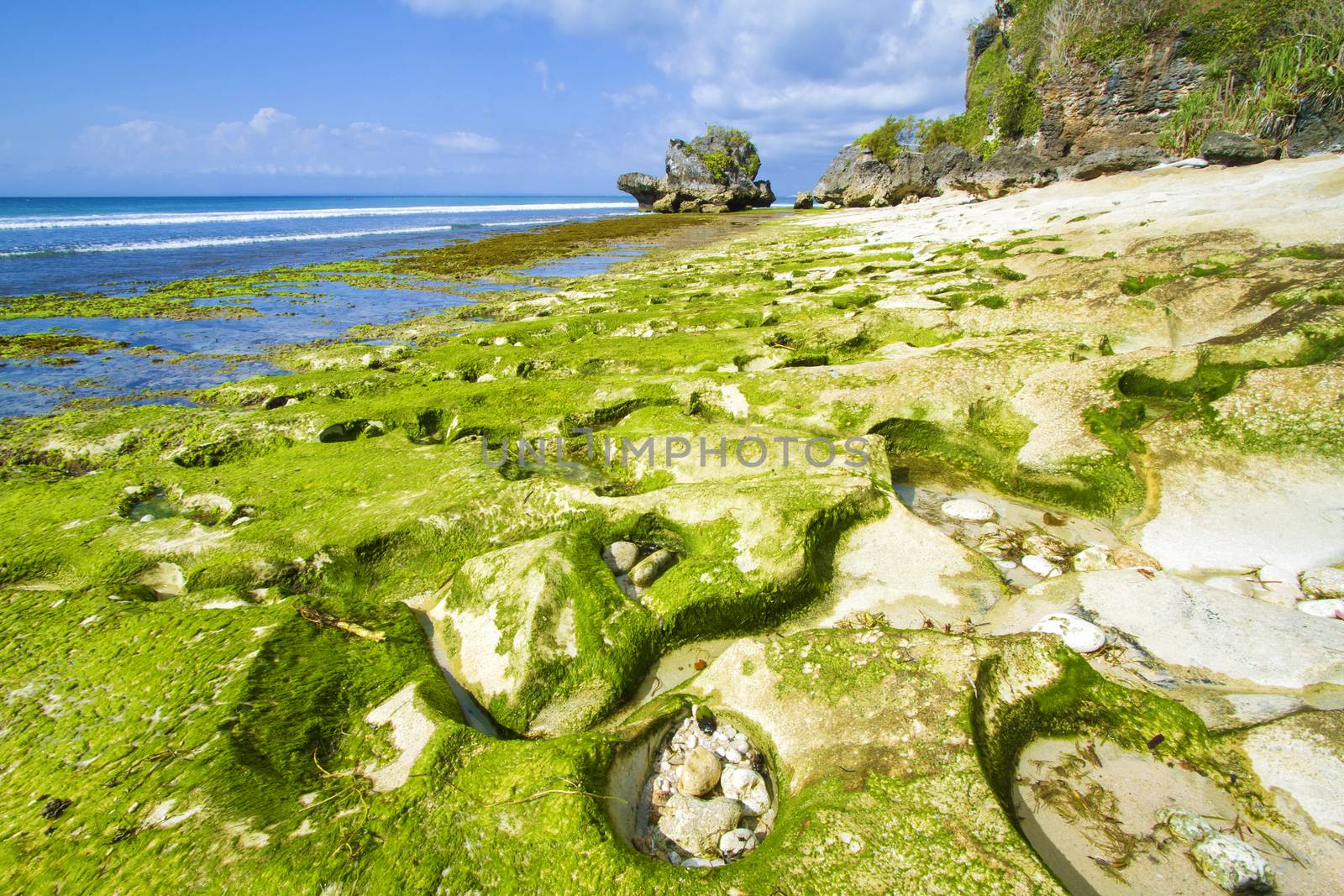 Ocean coastline, Bali, Indonesia.