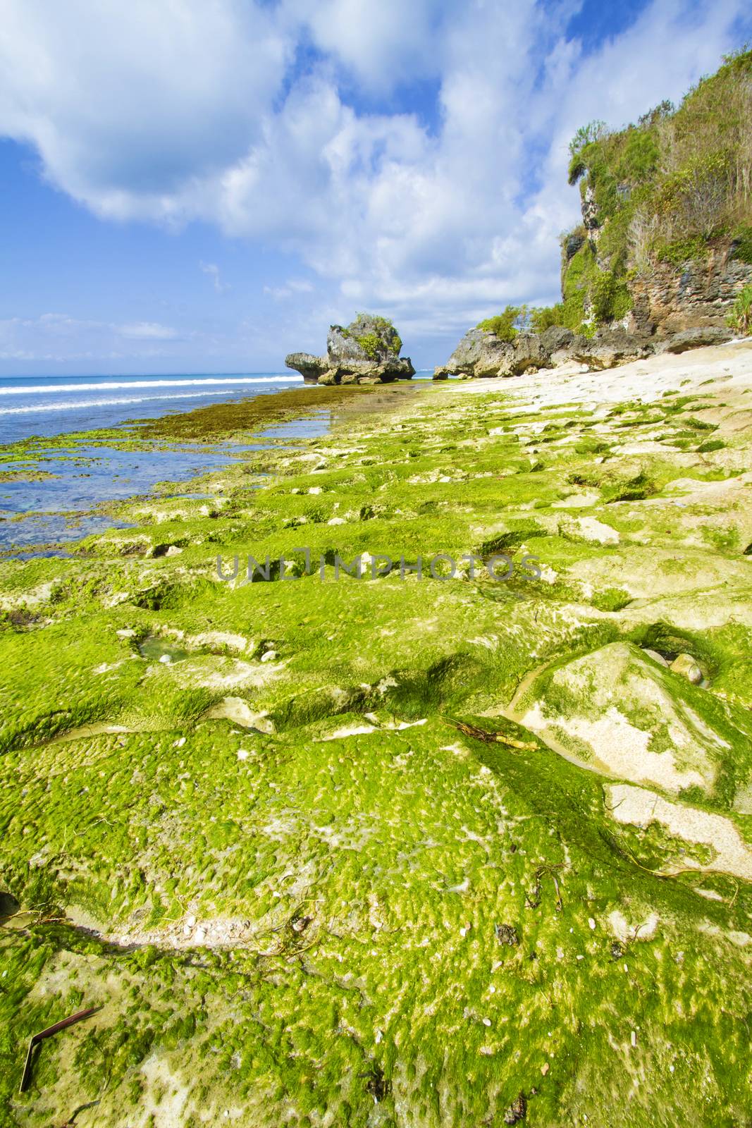 Ocean coastline, Bali, Indonesia.