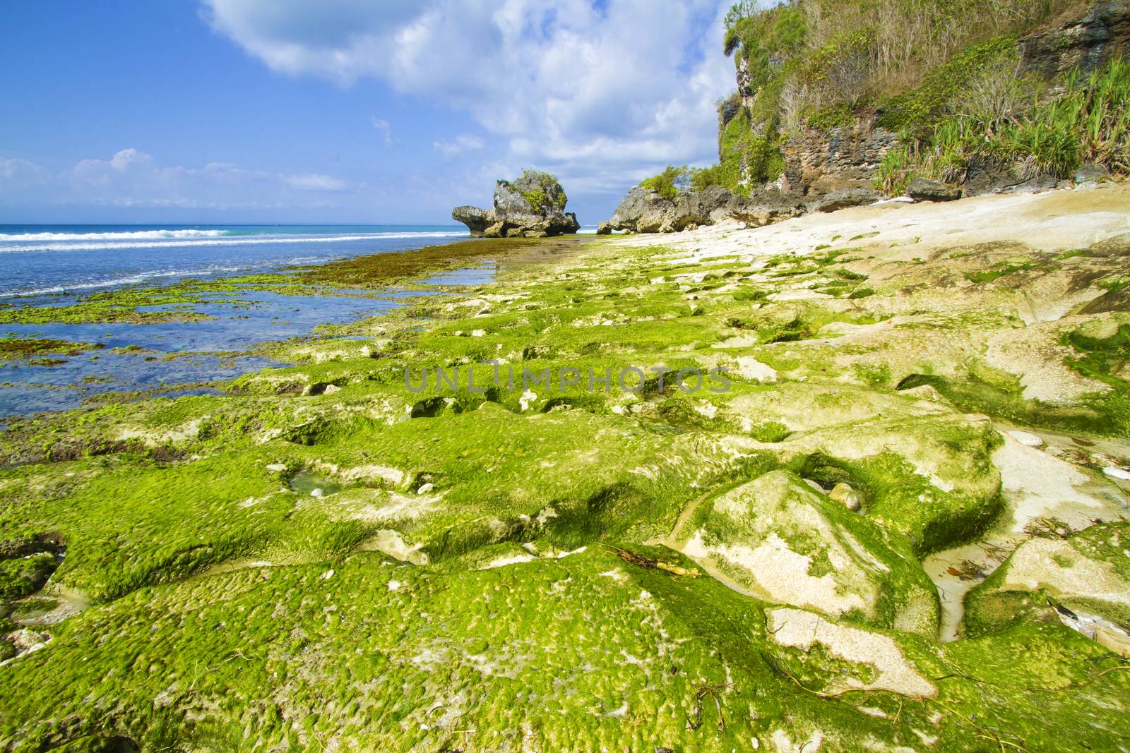 Ocean coastline, Bali, Indonesia.