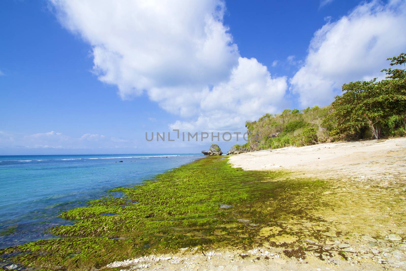 Ocean coastline, Bali, Indonesia.