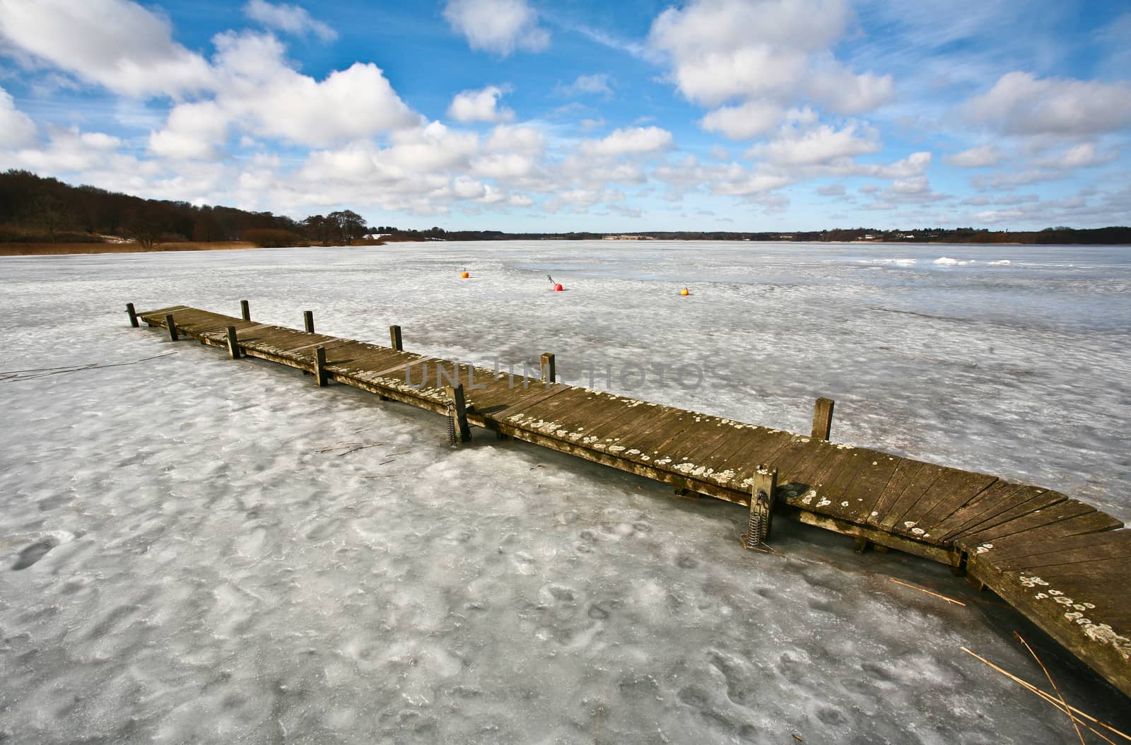 Iced lake in sun in denmark in winter