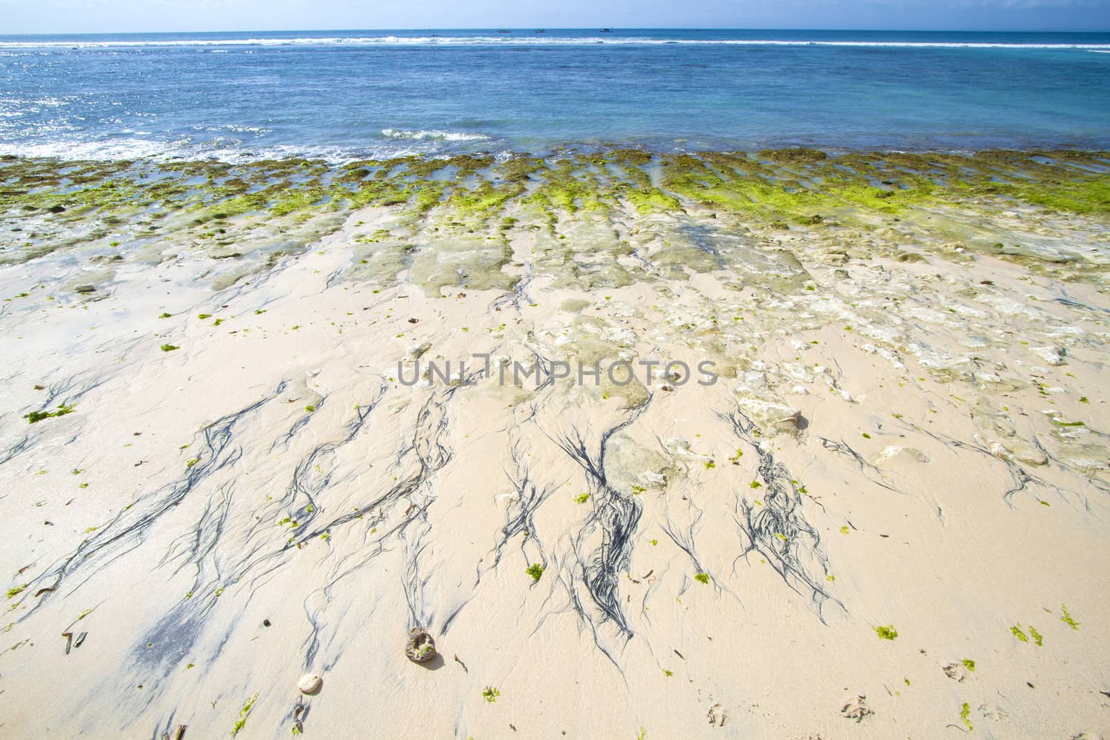 Deserted beach at Bali island.Indonesia.