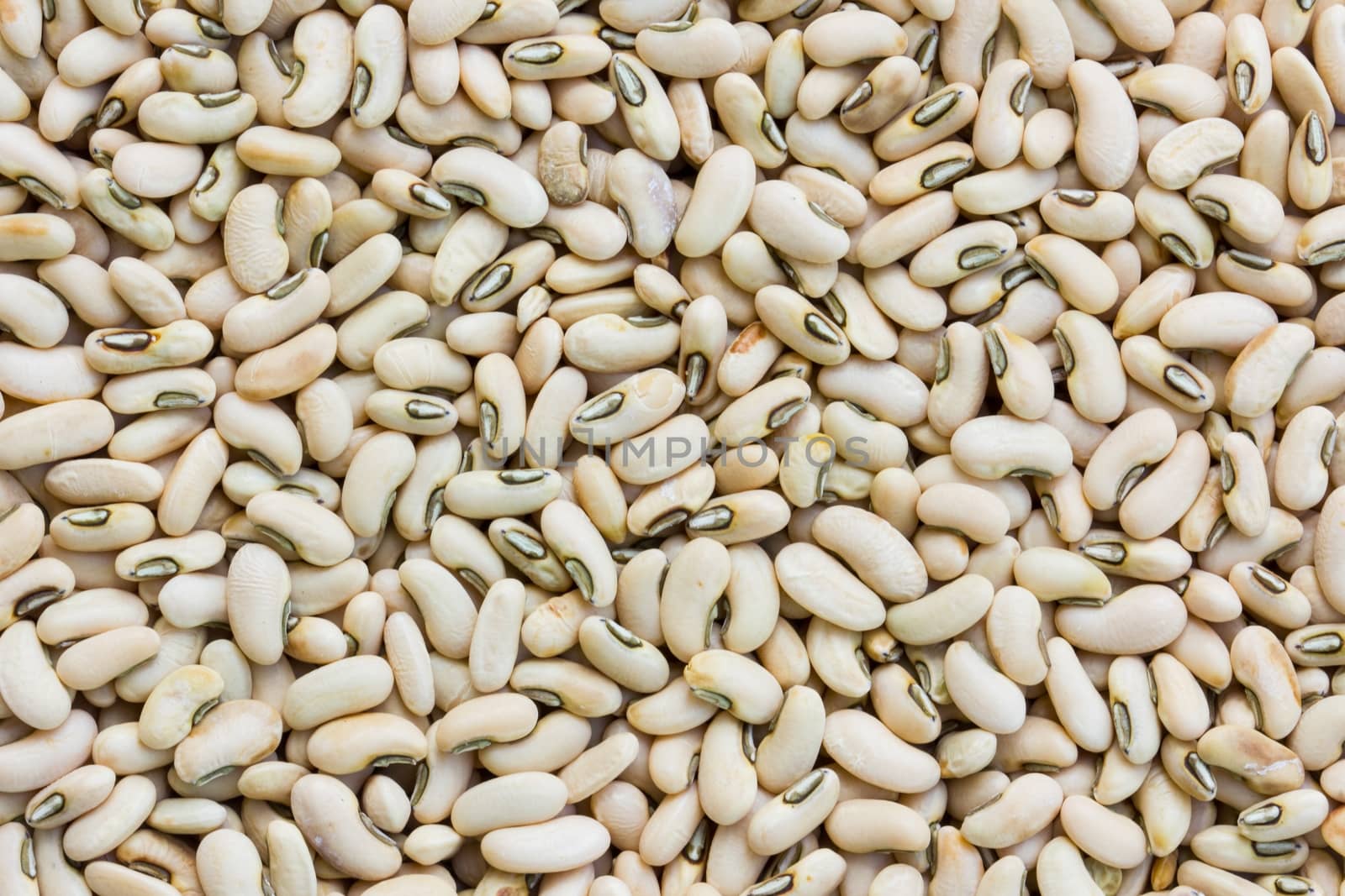 Macro shot of soybeans fills the frame.