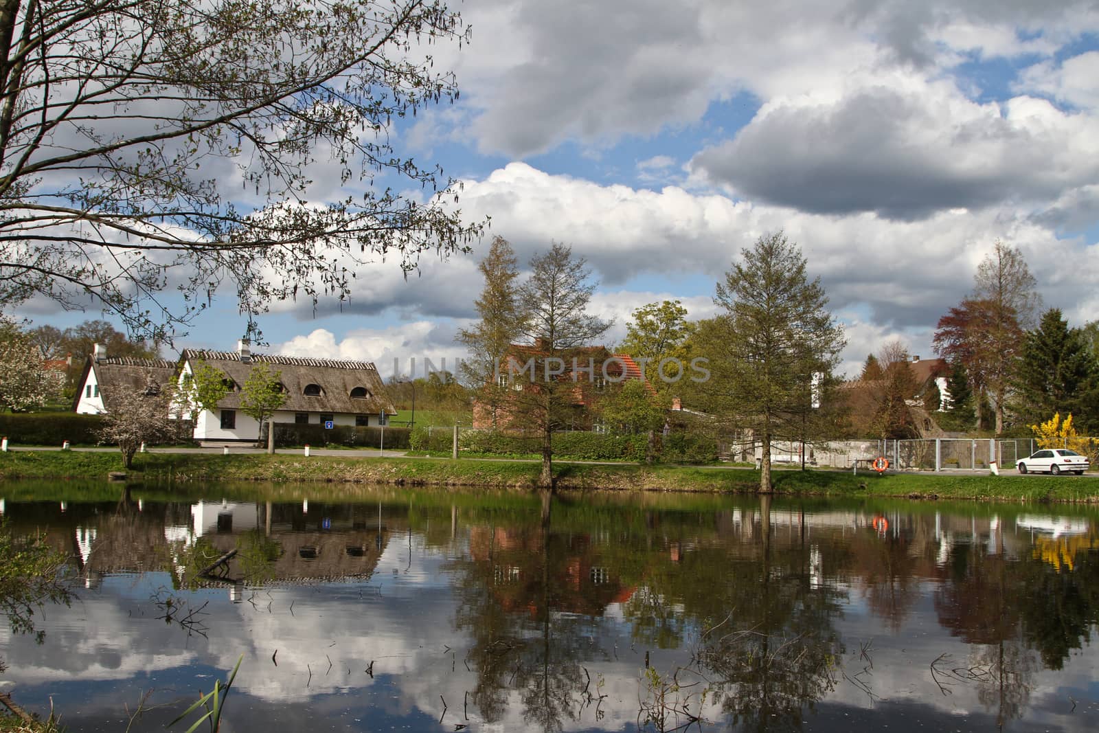 danish landscape in denmark in spring