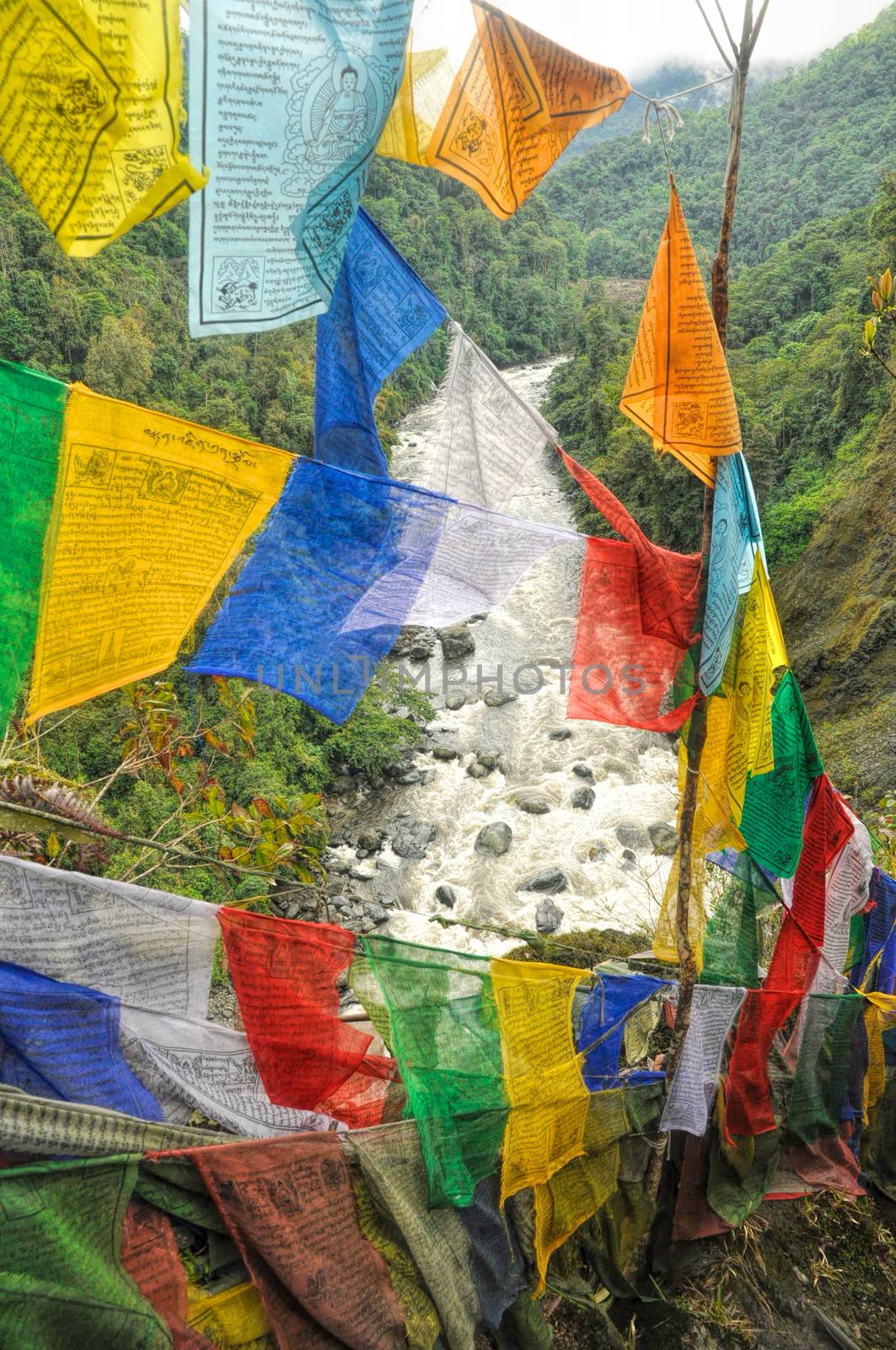 Colorful buddhist prayer flags in Arunachal Pradesh, India