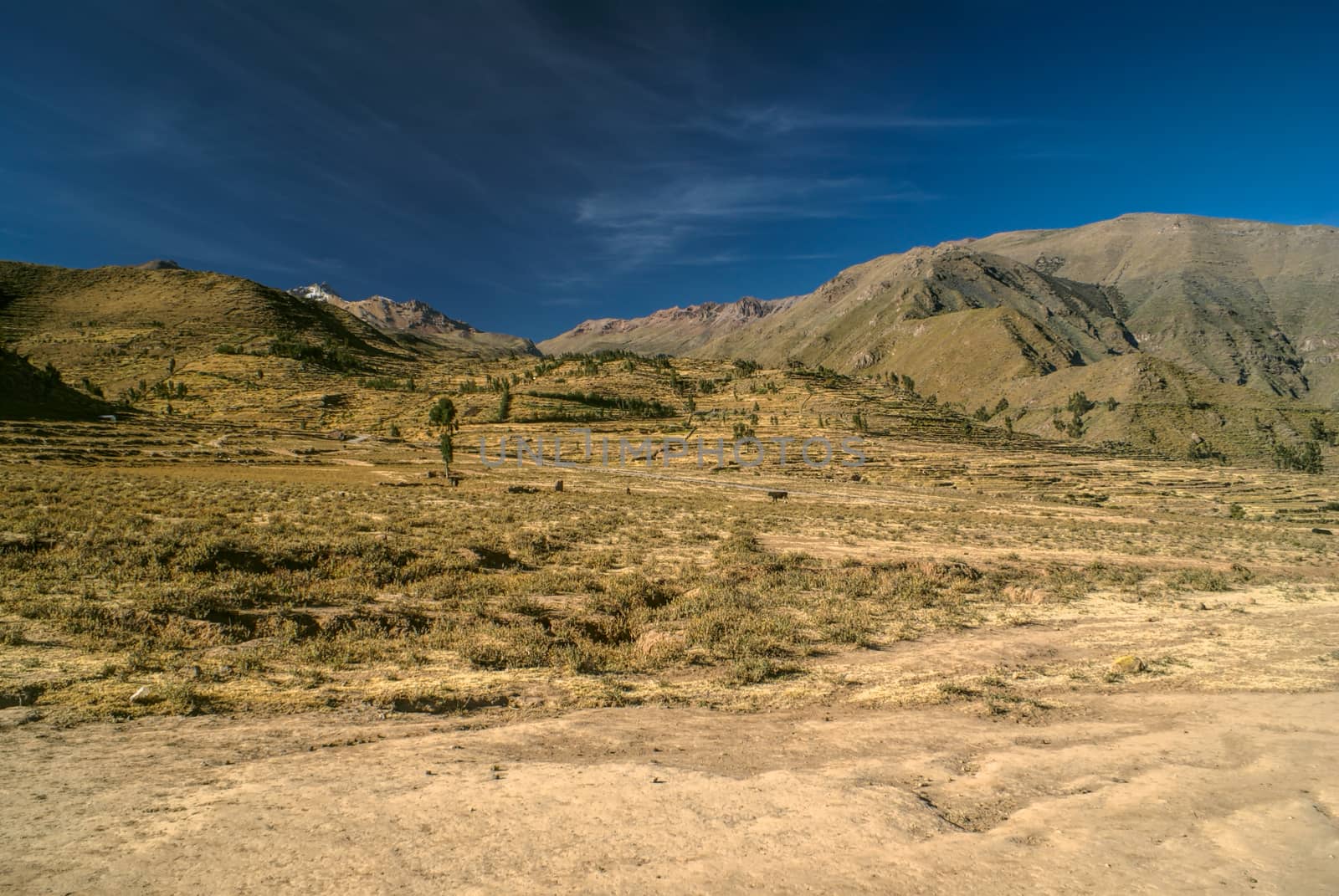 Arid peruvian landscape near Canon del Colca