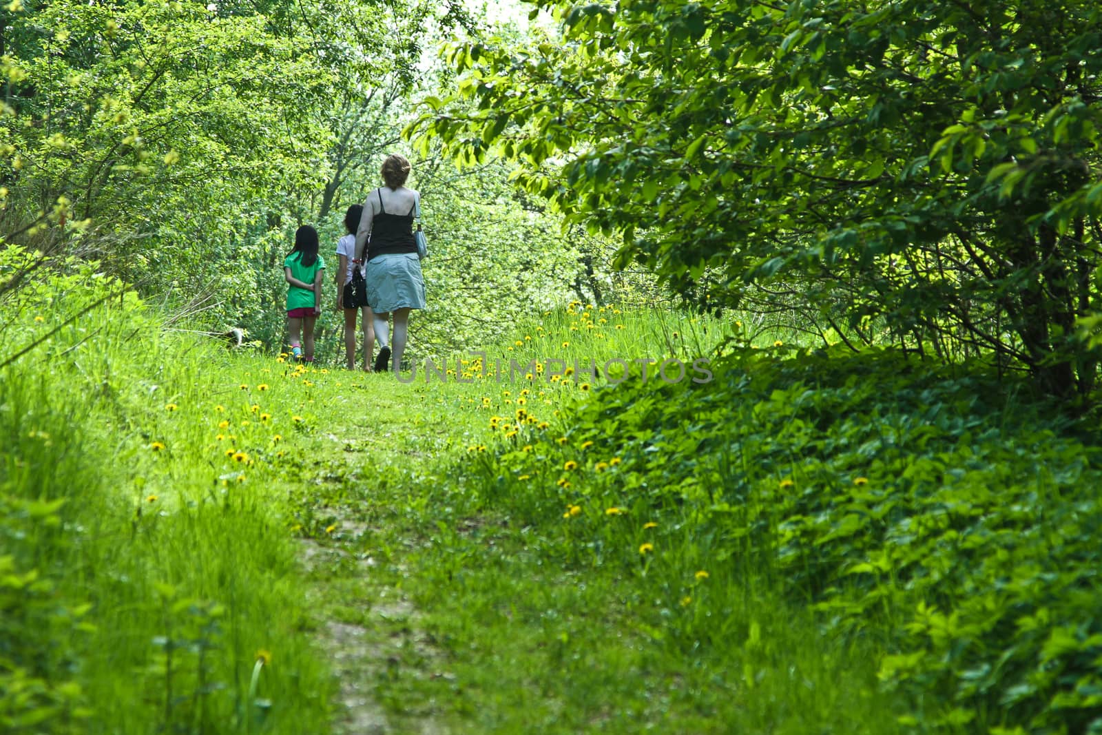 Family walk in spring in denmark