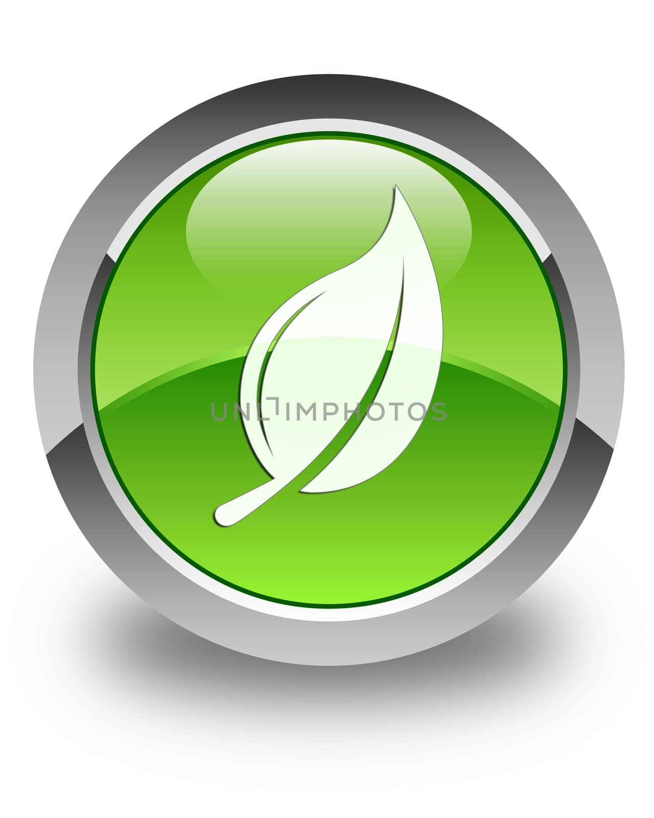 Leaf icon on glossy green round button