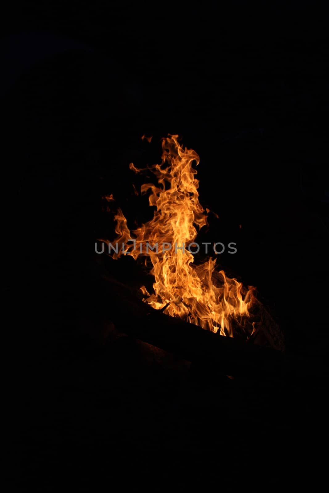 fire at night, orange flames on a black background