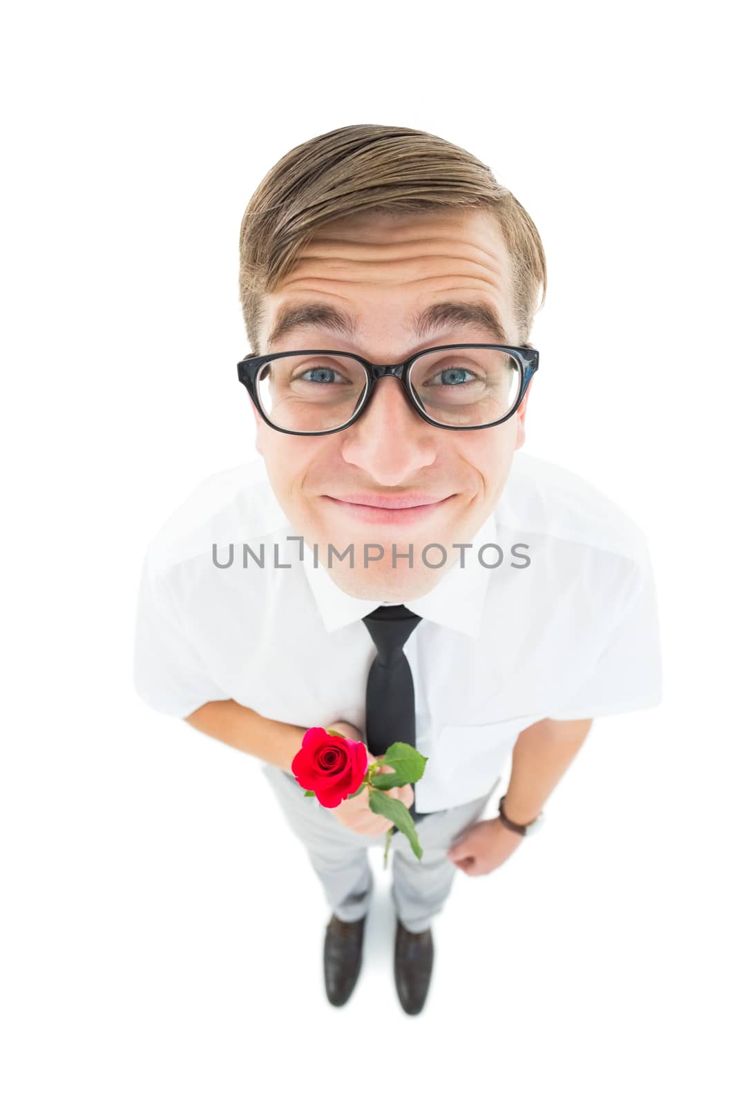 Geeky hipster holding a red rose on white background