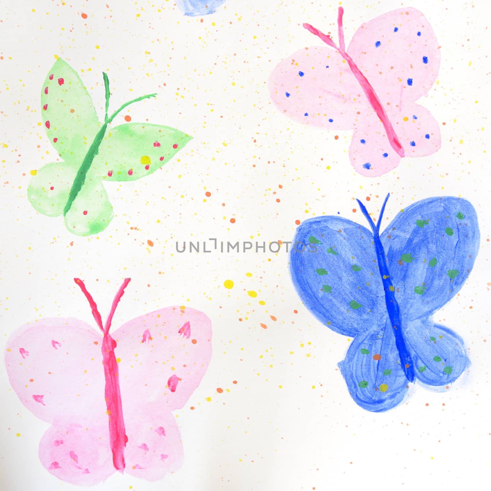 painted colorful butterflies on white paper