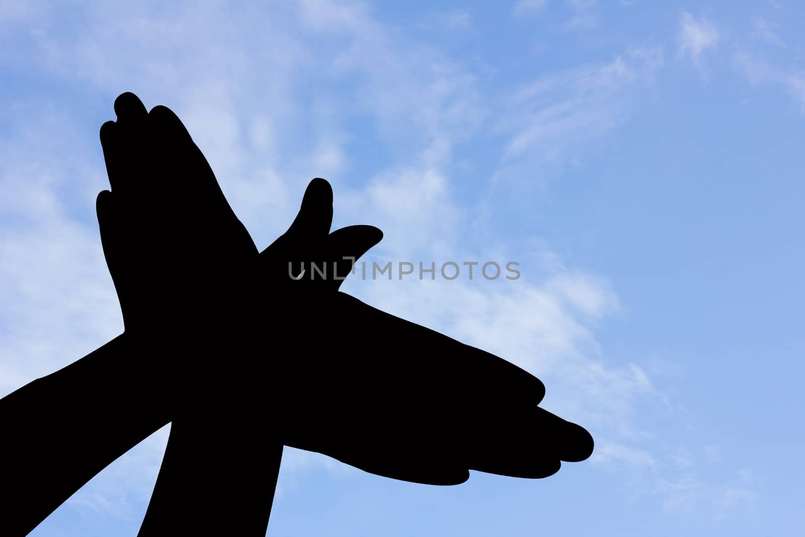 bird shape hand silhouette in blue sky and cloud, with copyspace