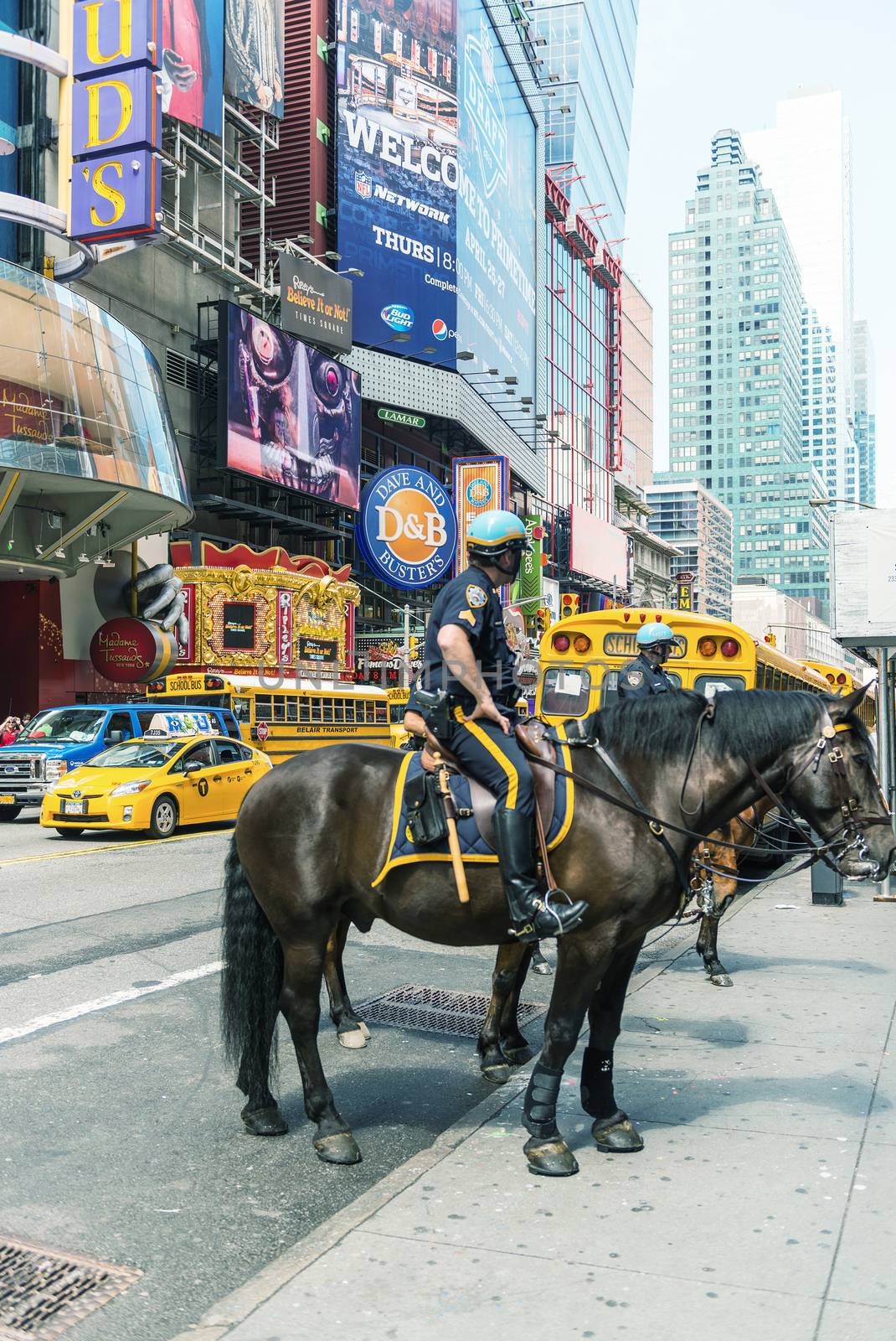 NEW YORK, USA - JUNE 11: Police officer rides his horse downtown in New York on the main street, Manhattan on June 11, 2013, New York, USA.