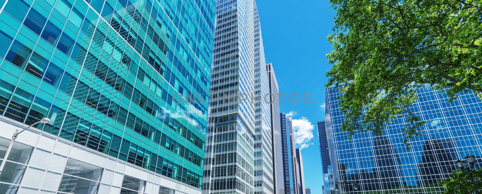 Manhattan skyscrapers with city trees, New York.